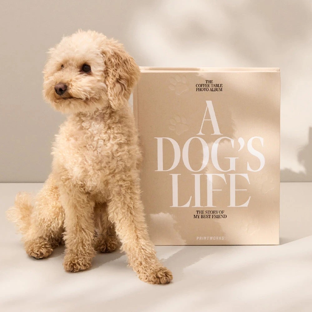 3 Printworks Dog Album-A Dogs Life - Beige, 3 of 4