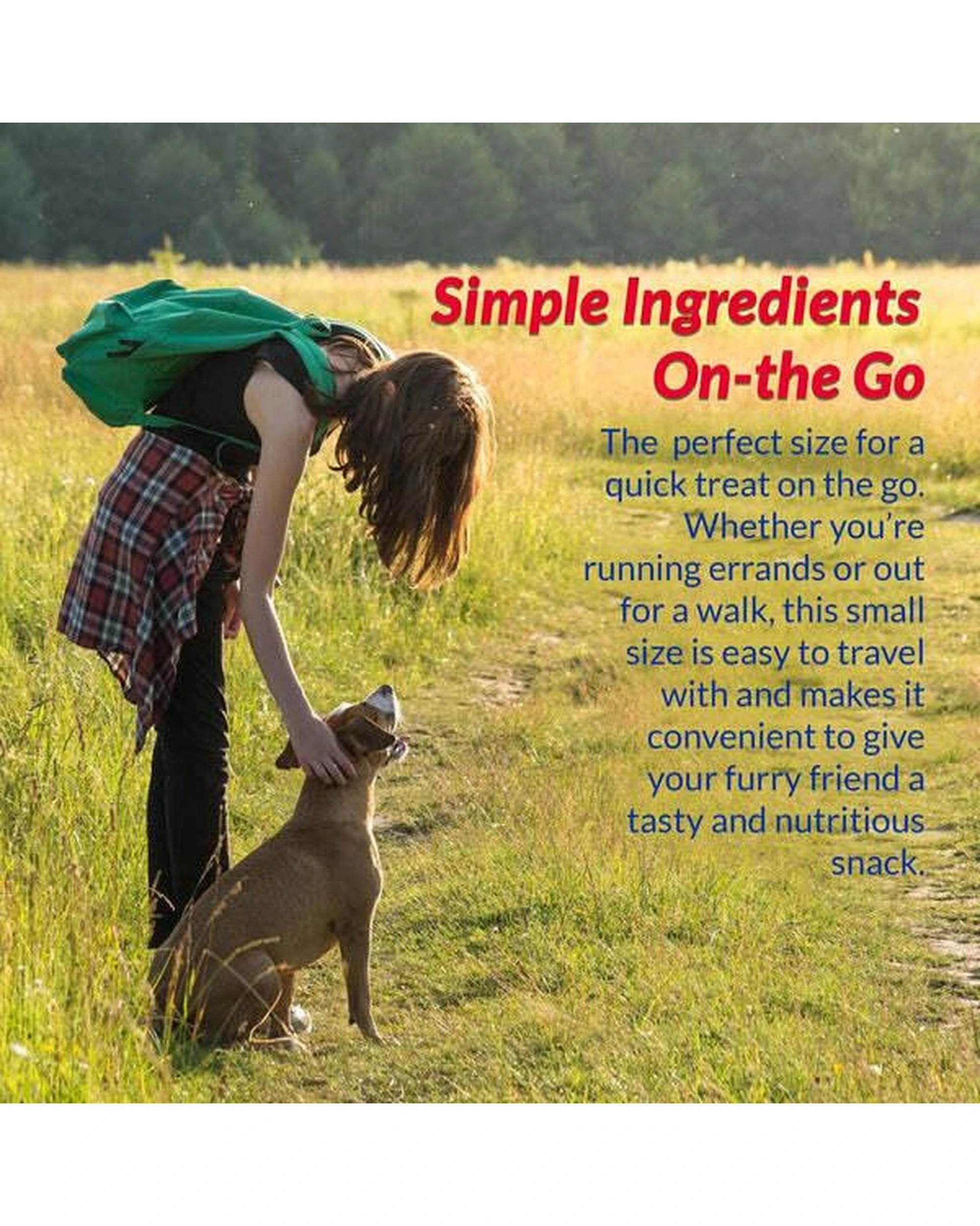 7 Inaba Adult Churu Complete & Balanced Dog Meal Topper Chicken w/ Cheese 6 x 144g, 7 of 7