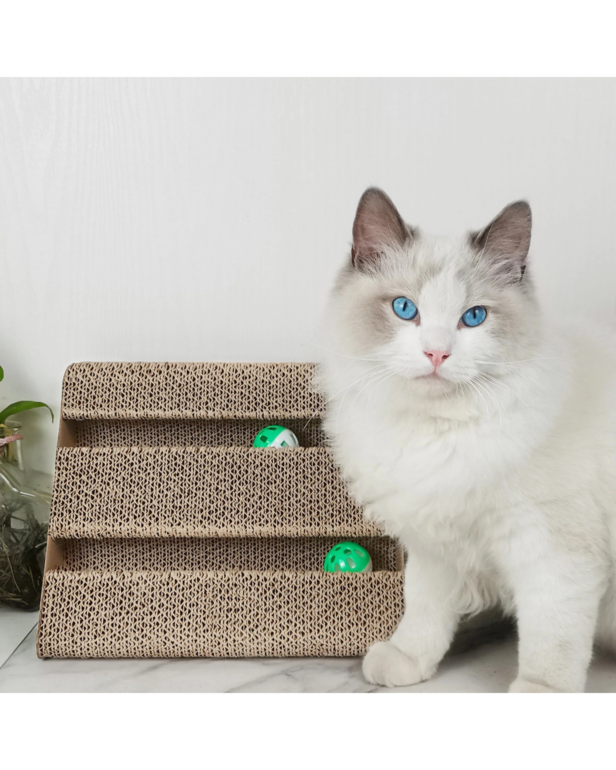 4 Zodiac Kiwi 28x17cm Triangle Cat Scratcher With Ball Durable Corrugated Cardboard Toy - Green, 4 of 5