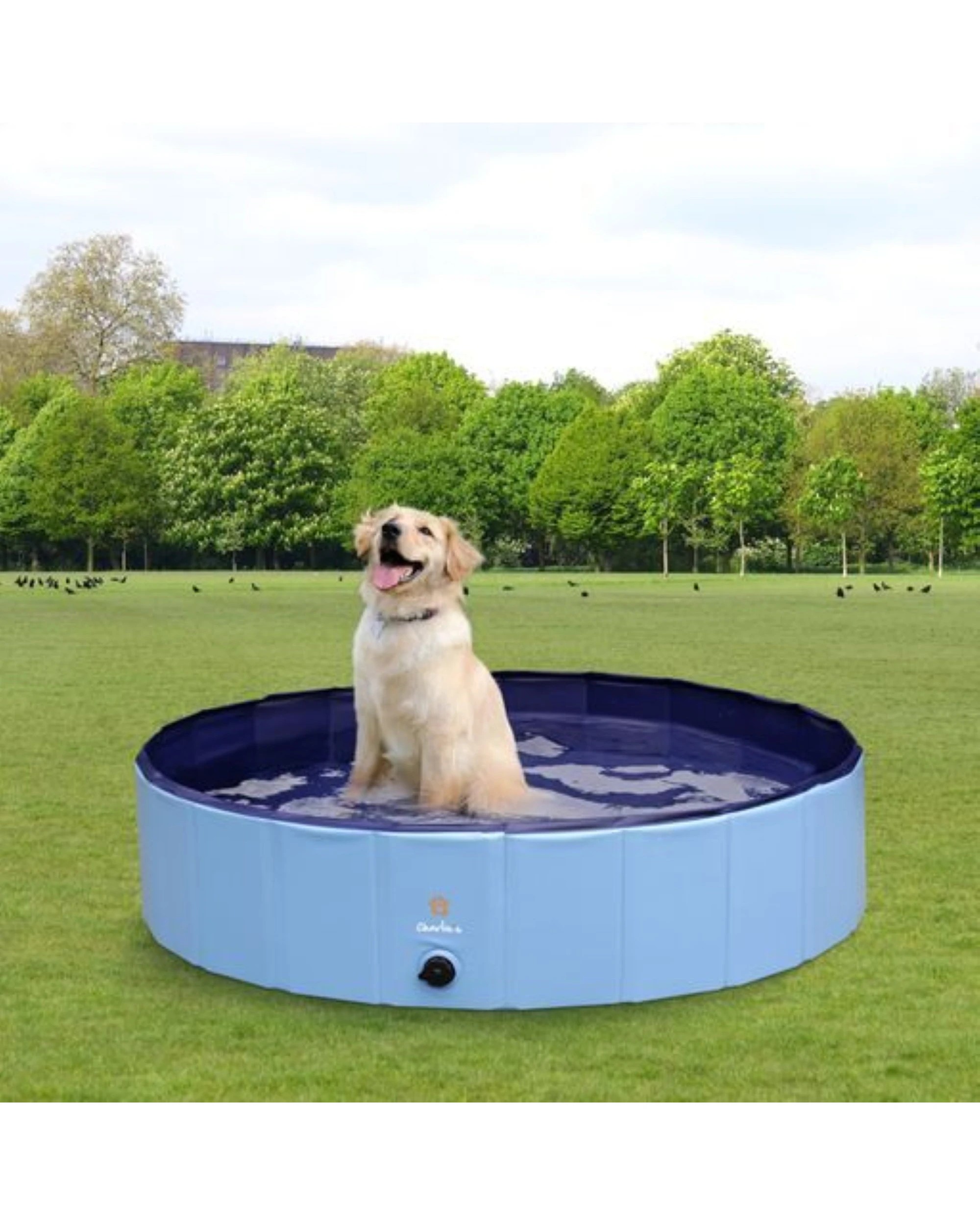 2 Charlie's Portable Summer Dog Pool Extra Large - Blue, 2 of 5