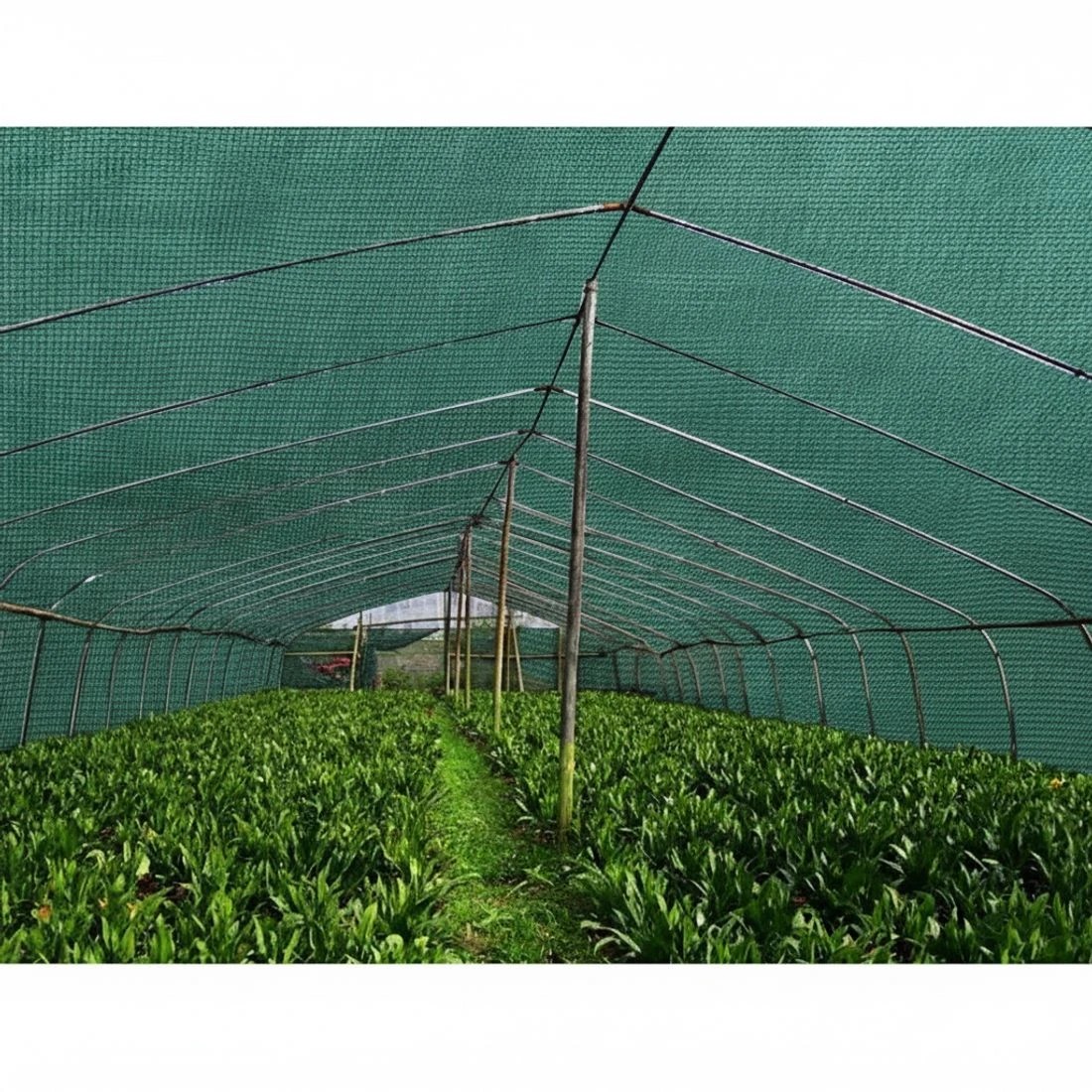 4 Instahut 30% Shade Cloth 1.83x30m Shadecloth Wide Heavy Duty Green - Green - Green, 4 of 5