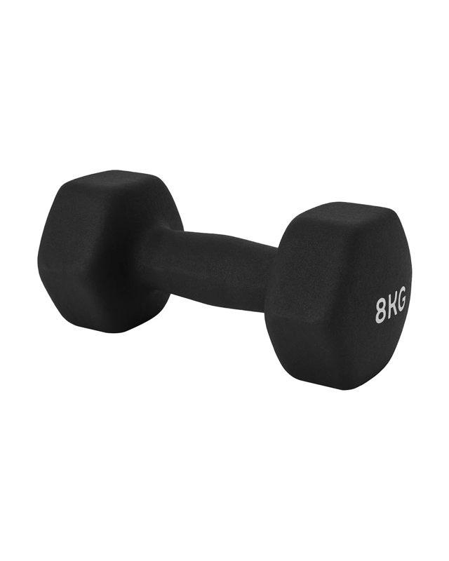 8kg Dumb