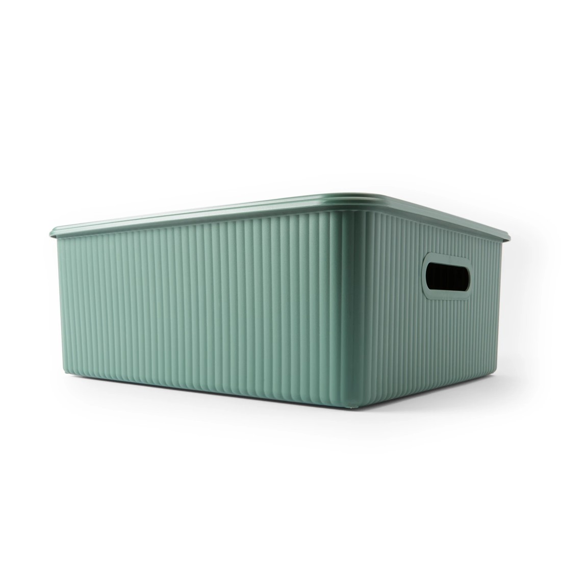 1 19L Ribbed Container - Green, 1 of 9