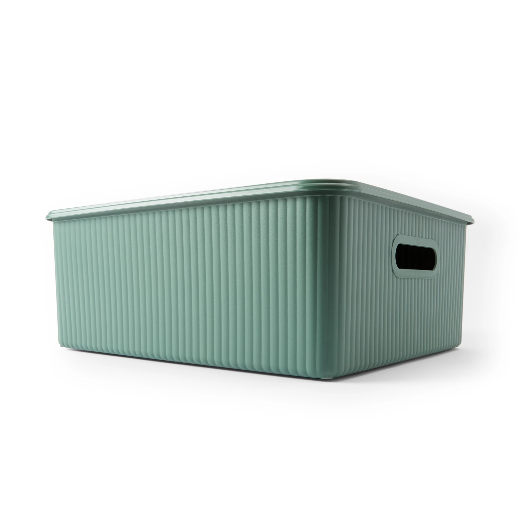 1 19L Ribbed Container - Green, 1 of 9