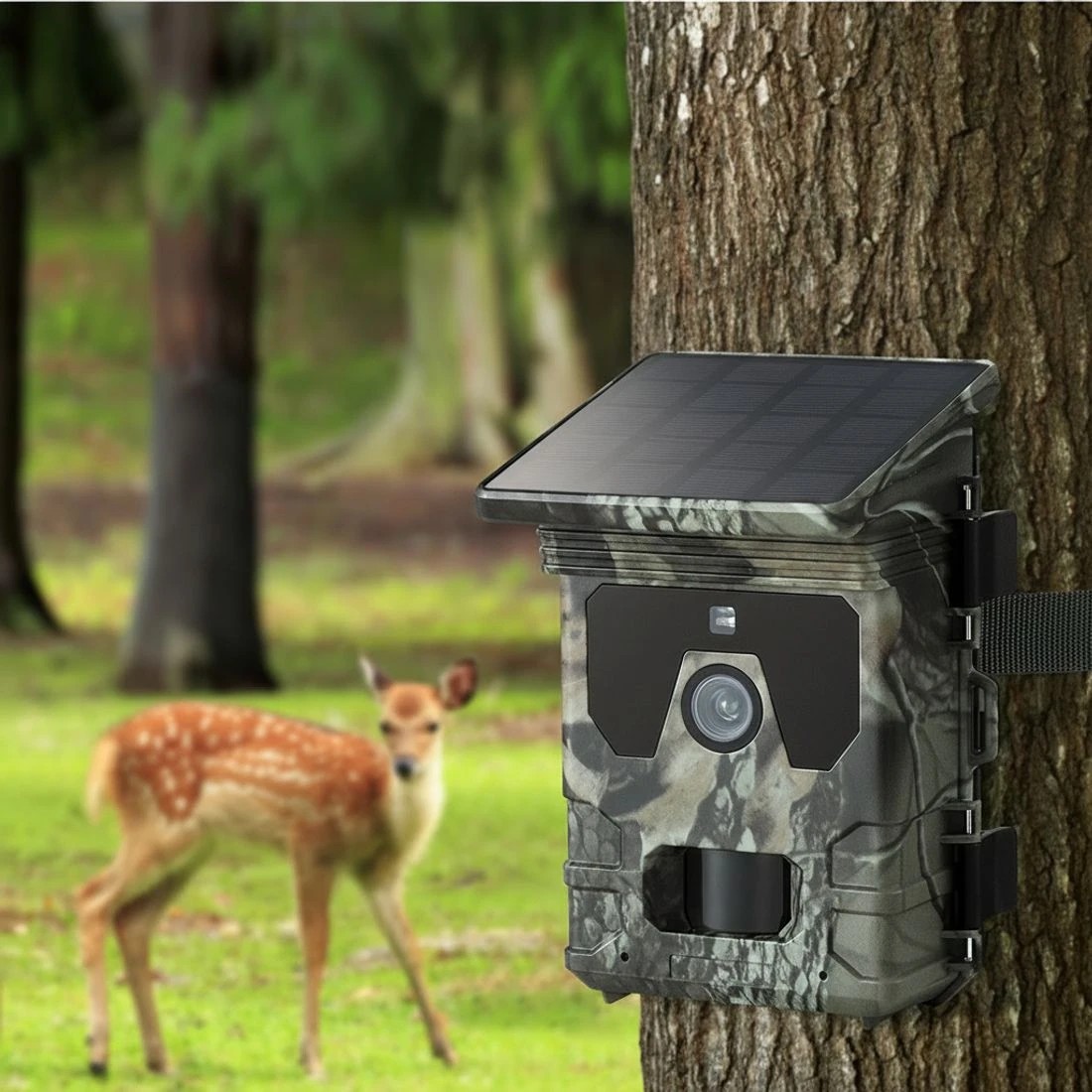 6 UL-tech Solar Trail Camera 4K 50MP Wildlife - Green, 6 of 7