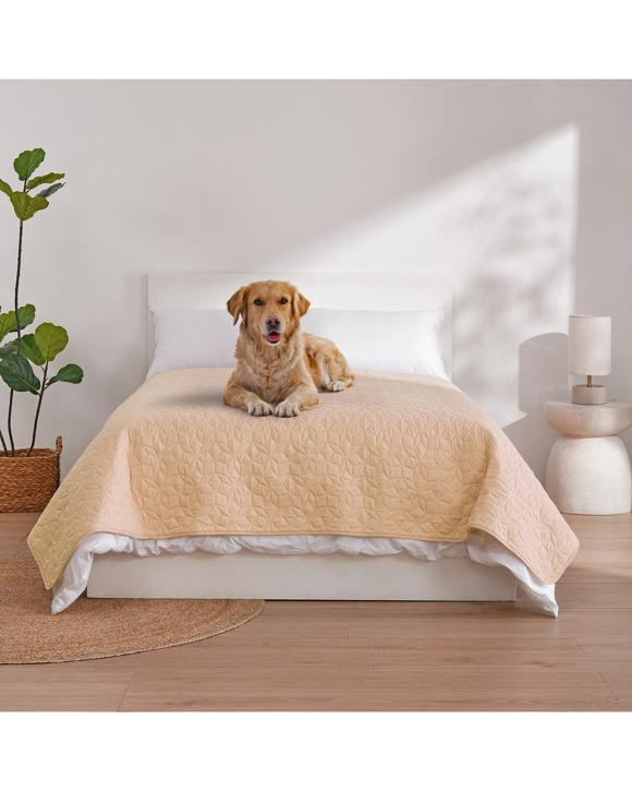 Charlie's Sofur Waterproof Dog Bed Cover Protector Double/Queen 208x208cm - Double/Queen - Oat