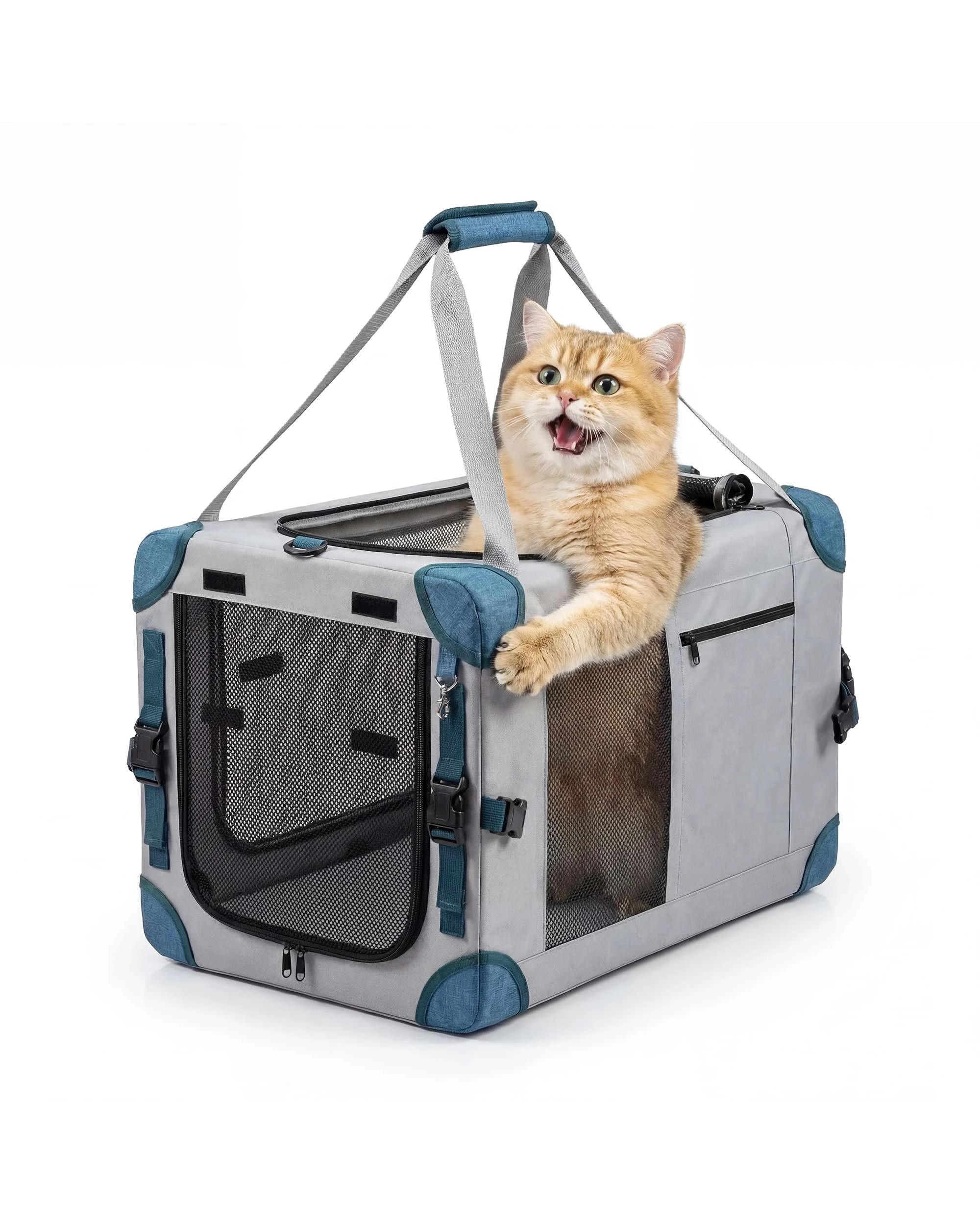 1 Advwin Pet Carrier Travel Bag Pet Car Seat Foldable, 1 of 9