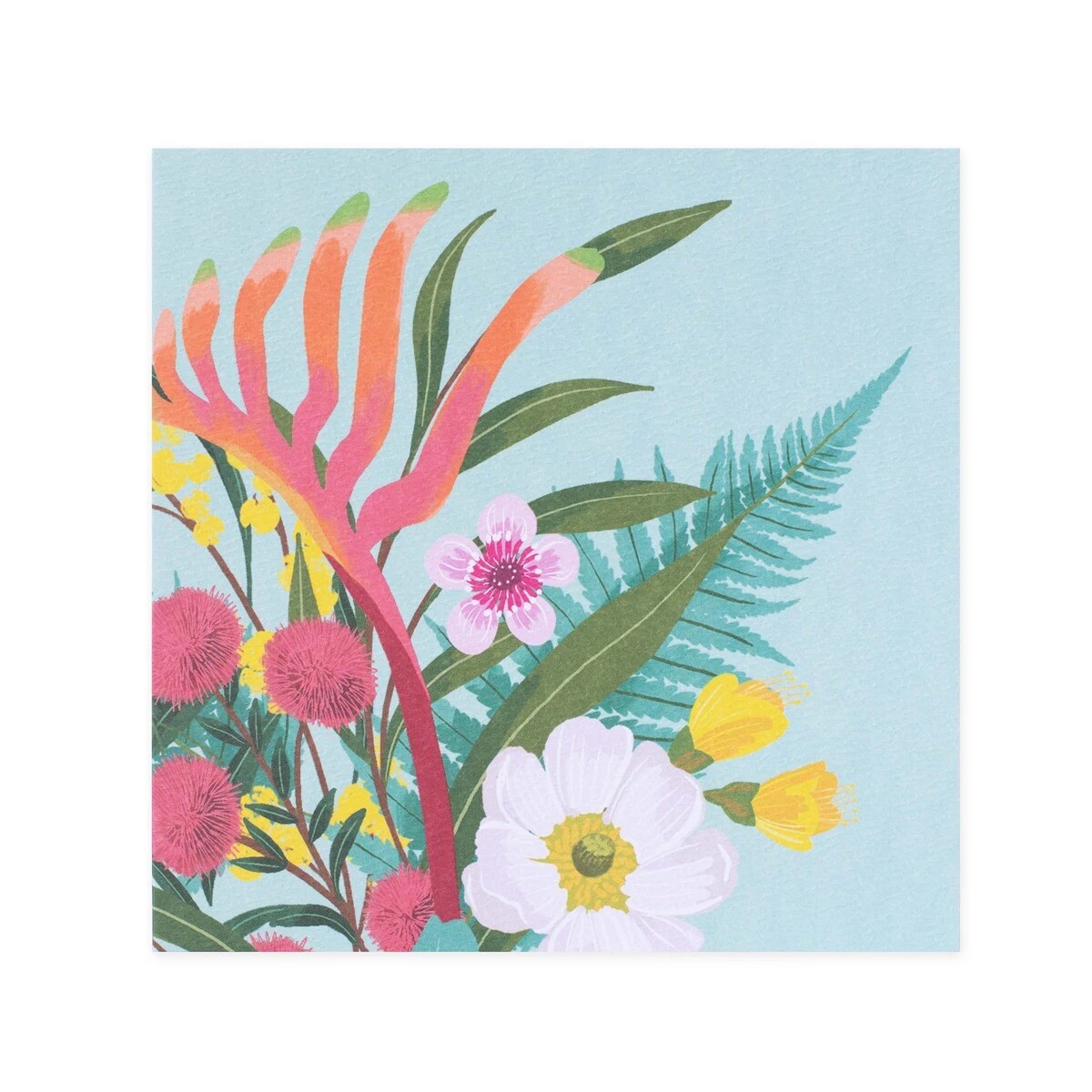 3 Hallmark x Christie Williams Gallery Blank Greeting Card - Kangaroo Paw Spray, 3 of 3
