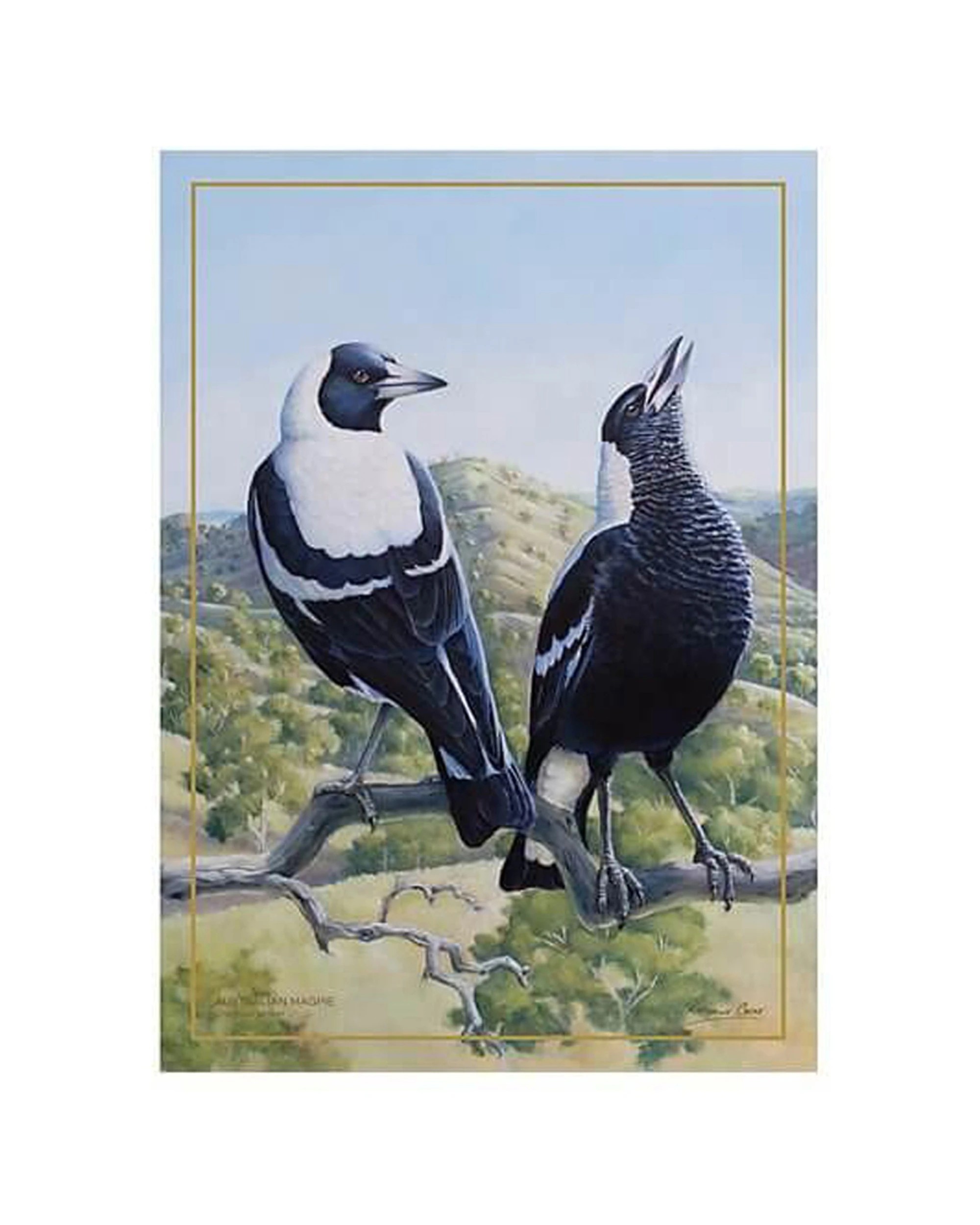 3 Maxwell & Williams Birds Of Australia 10yr Anniversary Tea Towel 50x70cm
 - Multi, 3 of 3