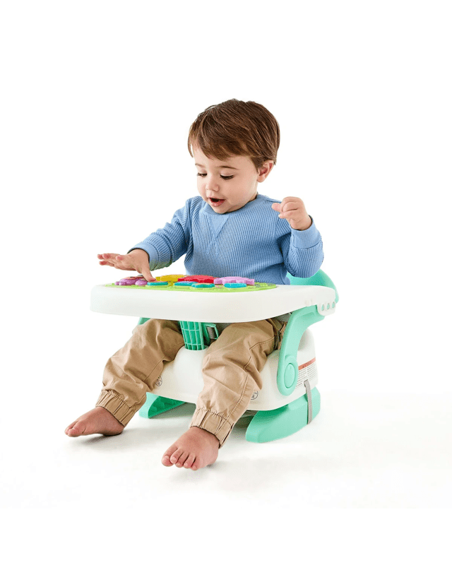 Highchair Booster 