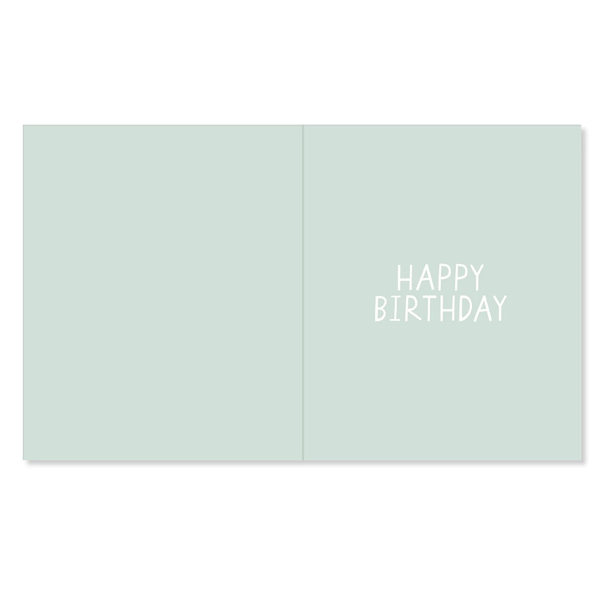 2 Hallmark Birthday Card - 21 Today!, 2 of 3
