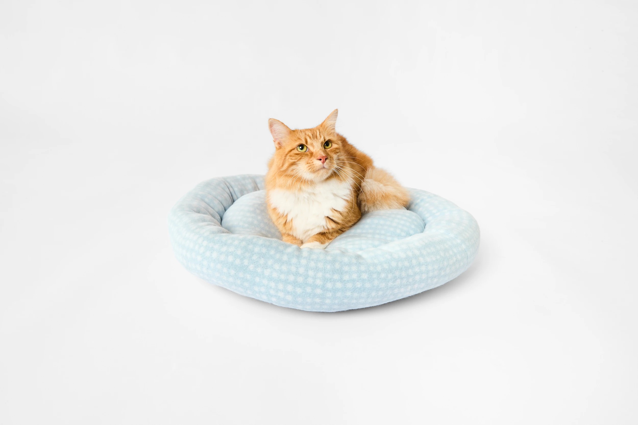 1 Pet Bed Round - Medium, 1 of 8