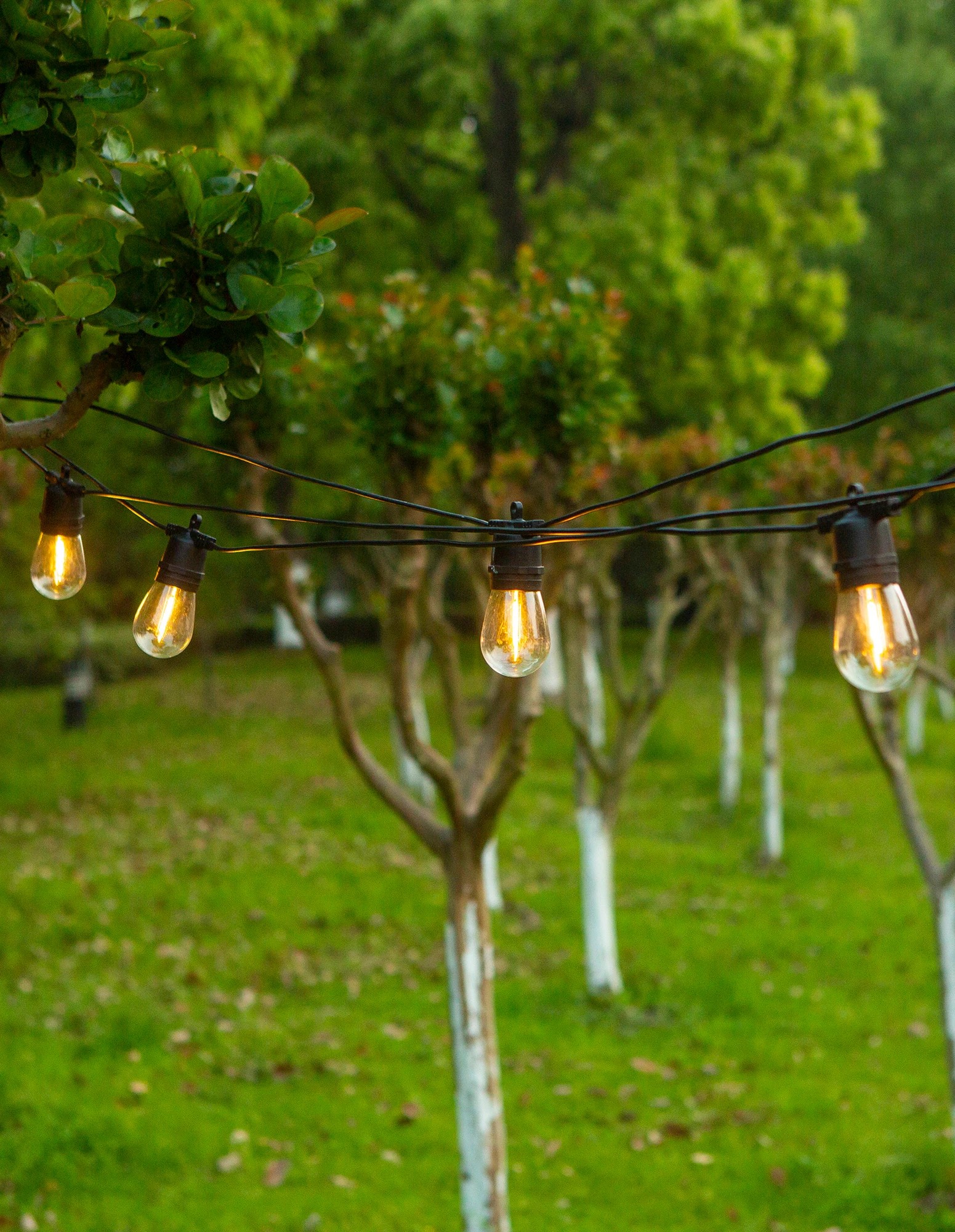 8 LumiFx 50 Bulb Wifi Smart Outdoor Festoon Lights - White, 8 of 9