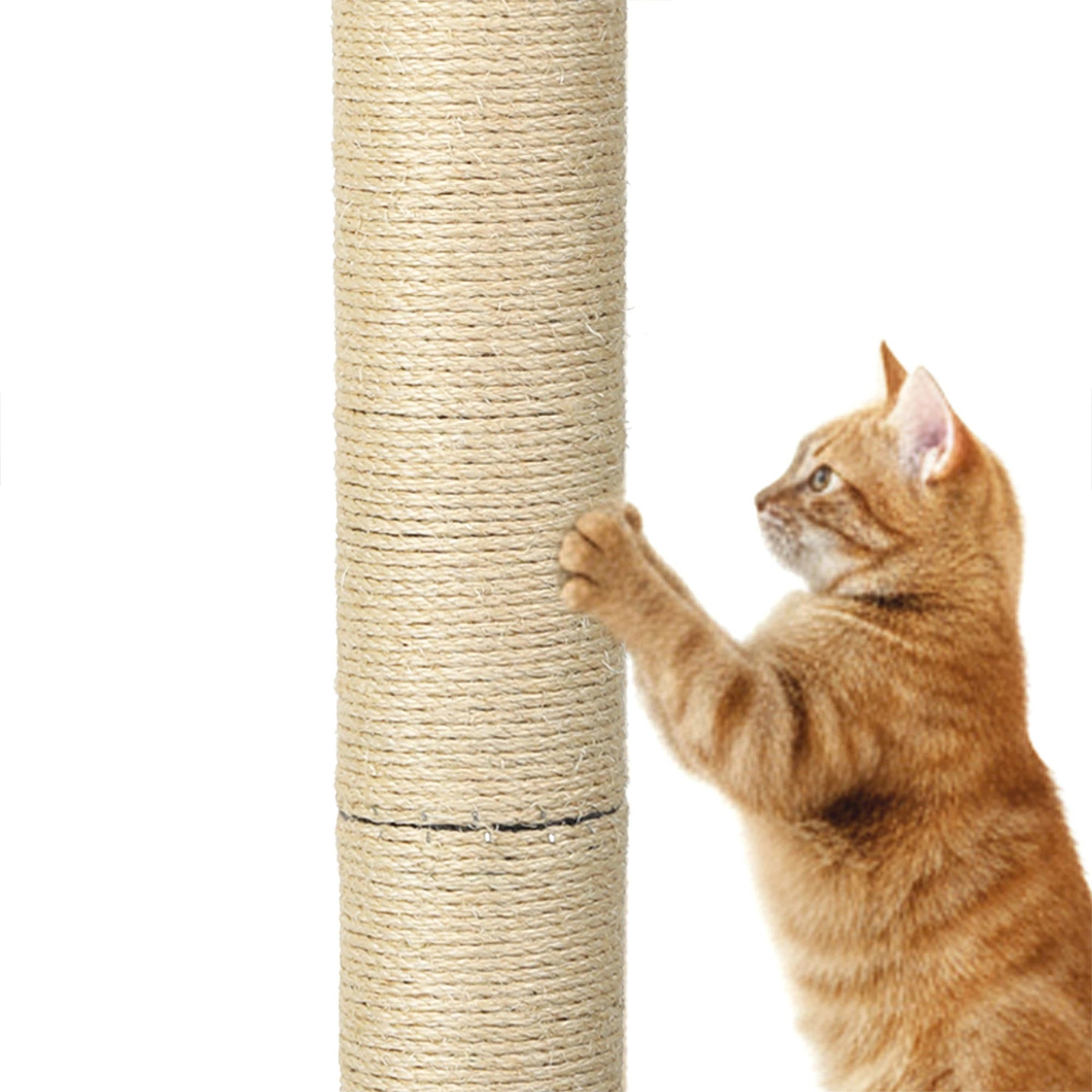 5 Pawz Cat Scratching Post  75cm - Grey, 5 of 9
