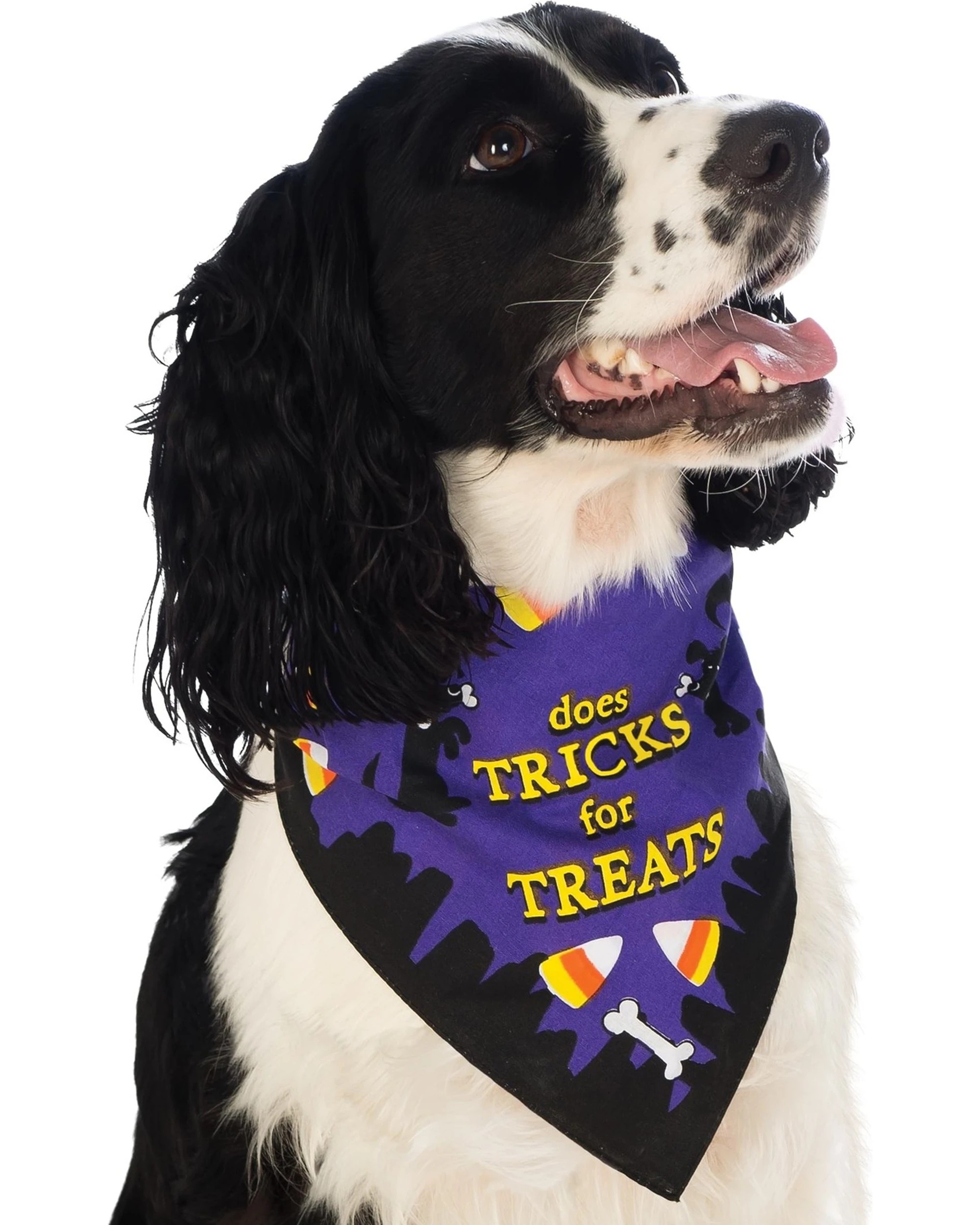 1 Rubies Does Tricks For Treats Dog Bandana Costume Size M L - Purple, 1 of 1