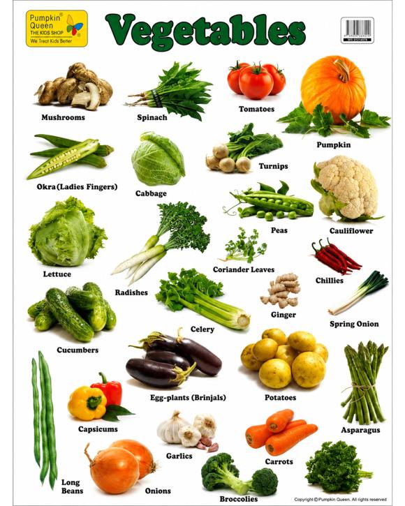 BR Home Large "Vegetables" Educational Poster 73x52cm Size Portrait
