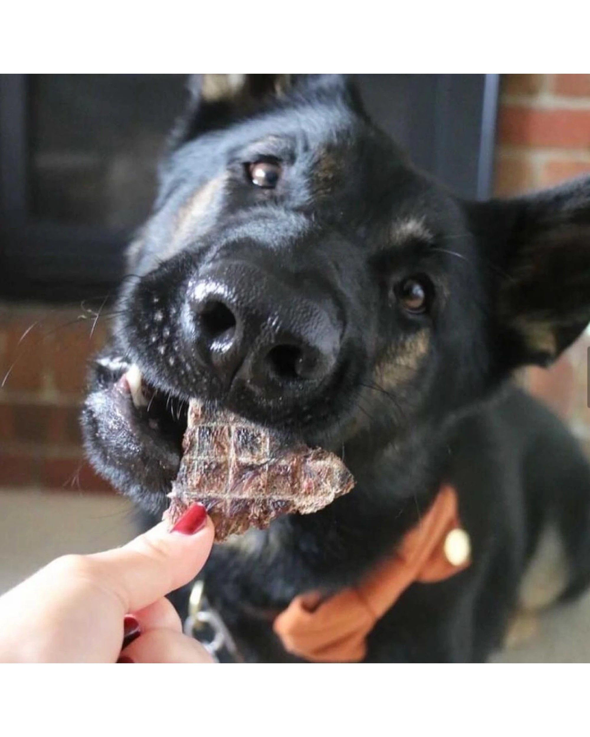 6 Laila & Me Dehydrated Range Kangaroo Jerky Dog Training Treats 80g, 6 of 6