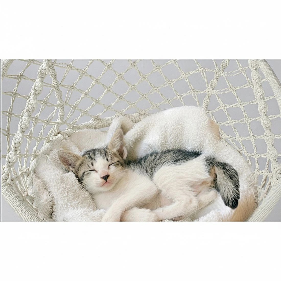 4 Gardeon Hammock Chair Outdoor Hanging Macrame Cotton Indoor - Beige, 4 of 8