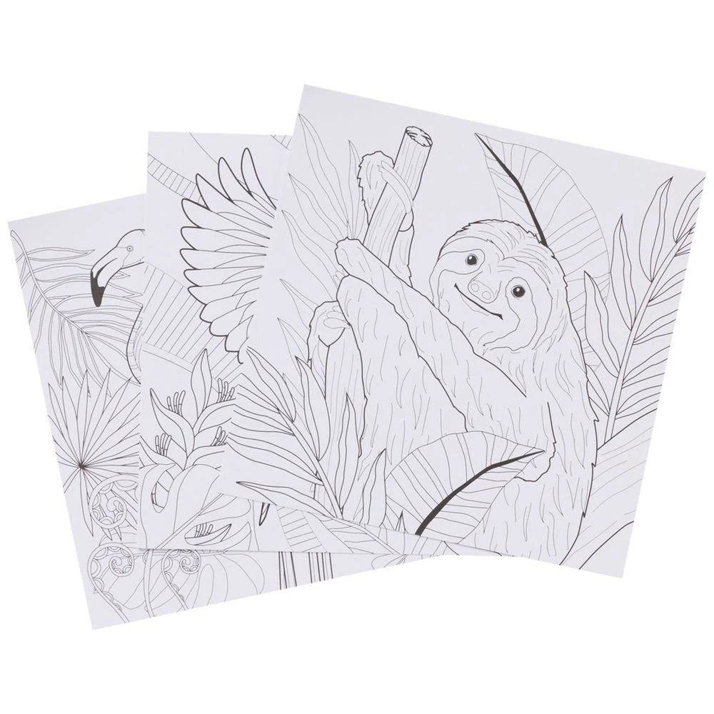 2 Born 9x9" Adult Colouring Book Birds and Animals, 2 of 4