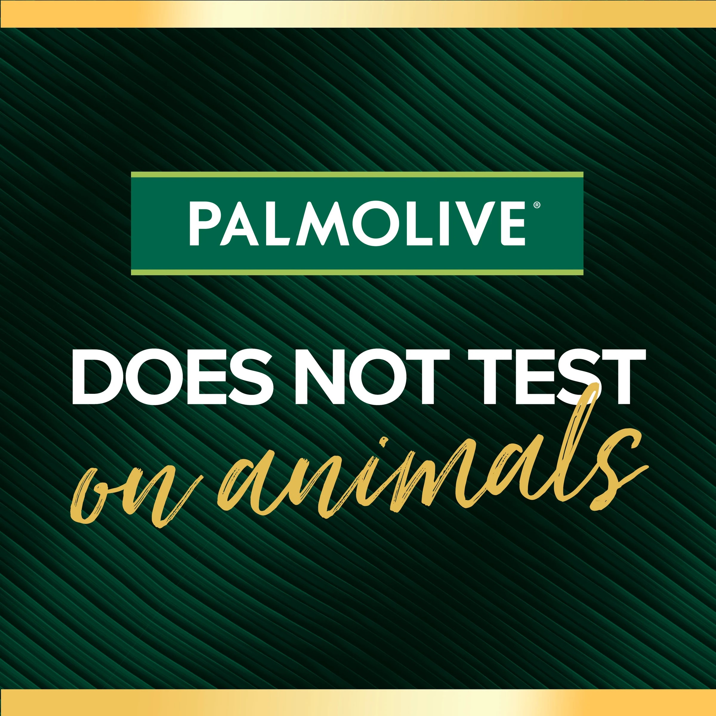 9 Palmolive Luminous Oils Body Wash 750ml - Northern New South Wales Frangipani and Coconut, 9 of 9