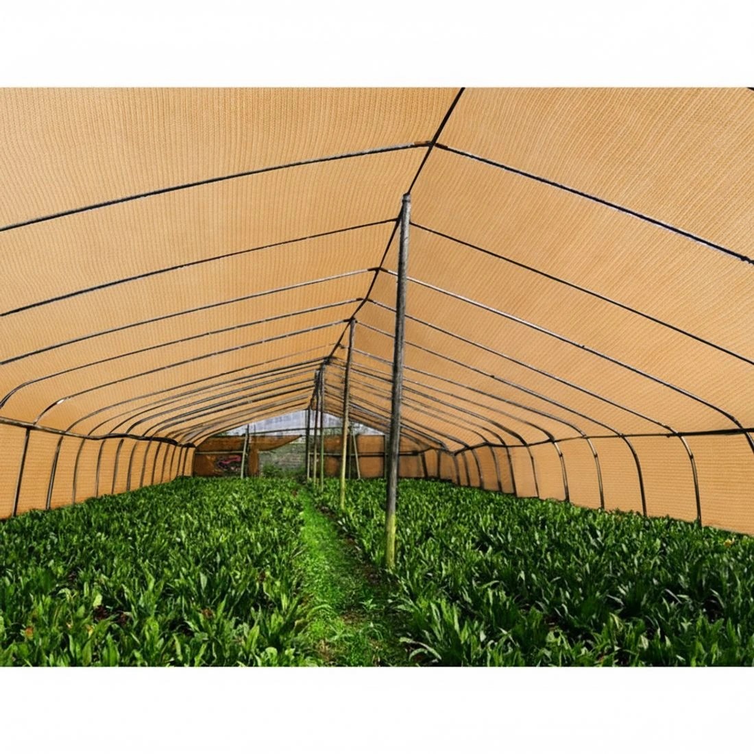 4 Instahut 50% Shade Cloth 3.66x20m Shadecloth Sail Heavy Duty - Natural, 4 of 5