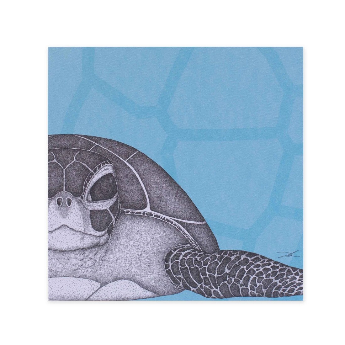 3 Hallmark x Dots by Donna Gallery Blank Greeting Card - Susan The Sea Turtle, 3 of 3