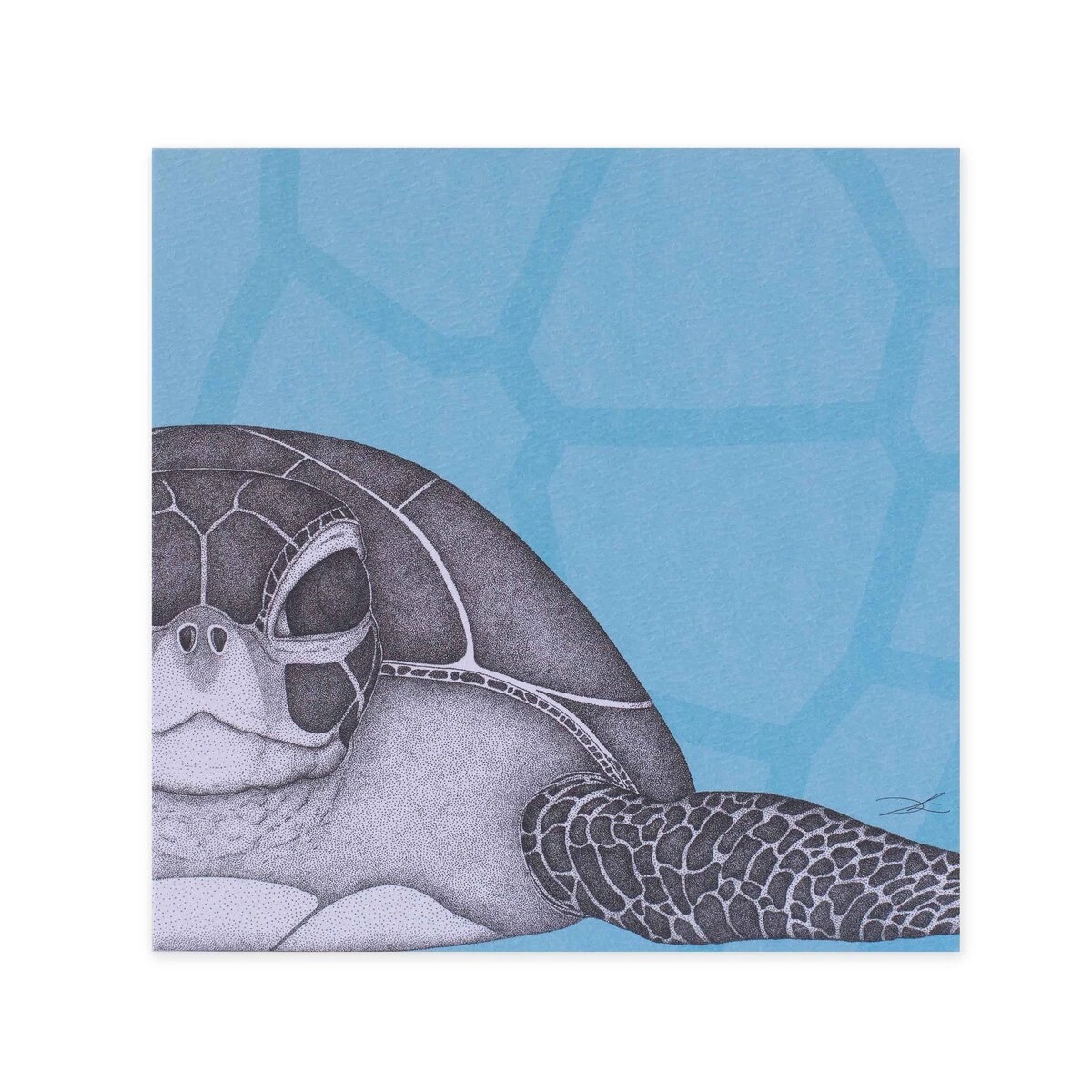 3 Hallmark x Dots by Donna Gallery Blank Greeting Card - Susan The Sea Turtle, 3 of 3