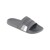 Greyish Charcoal