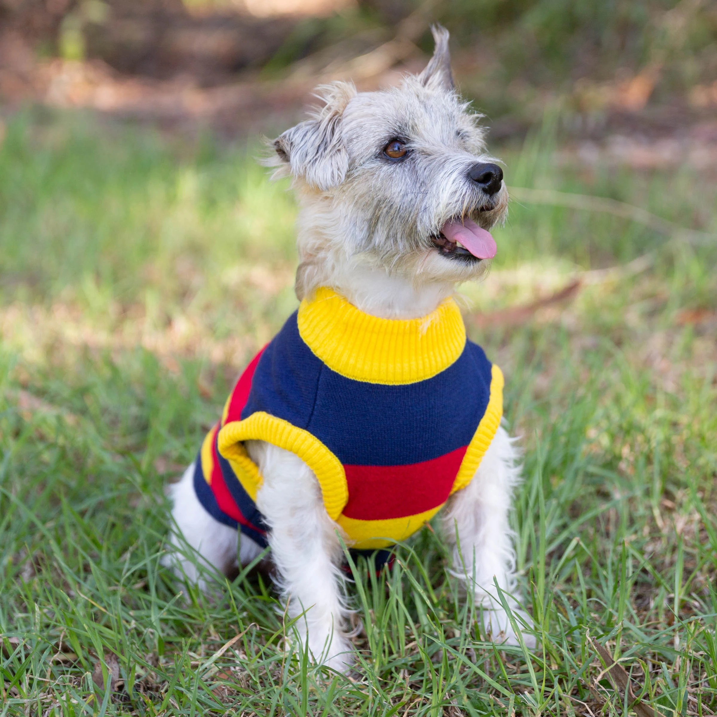 4 AFL Adelaide Crows Pet Jumper - Small, 4 of 4