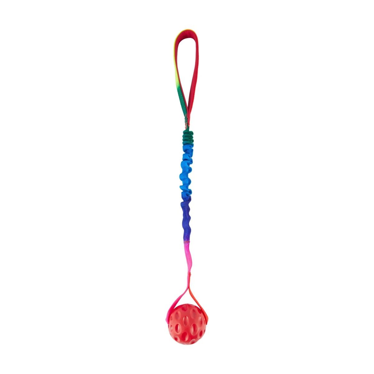 2 Pet Toy Bungee Ball with Handle, 2 of 4