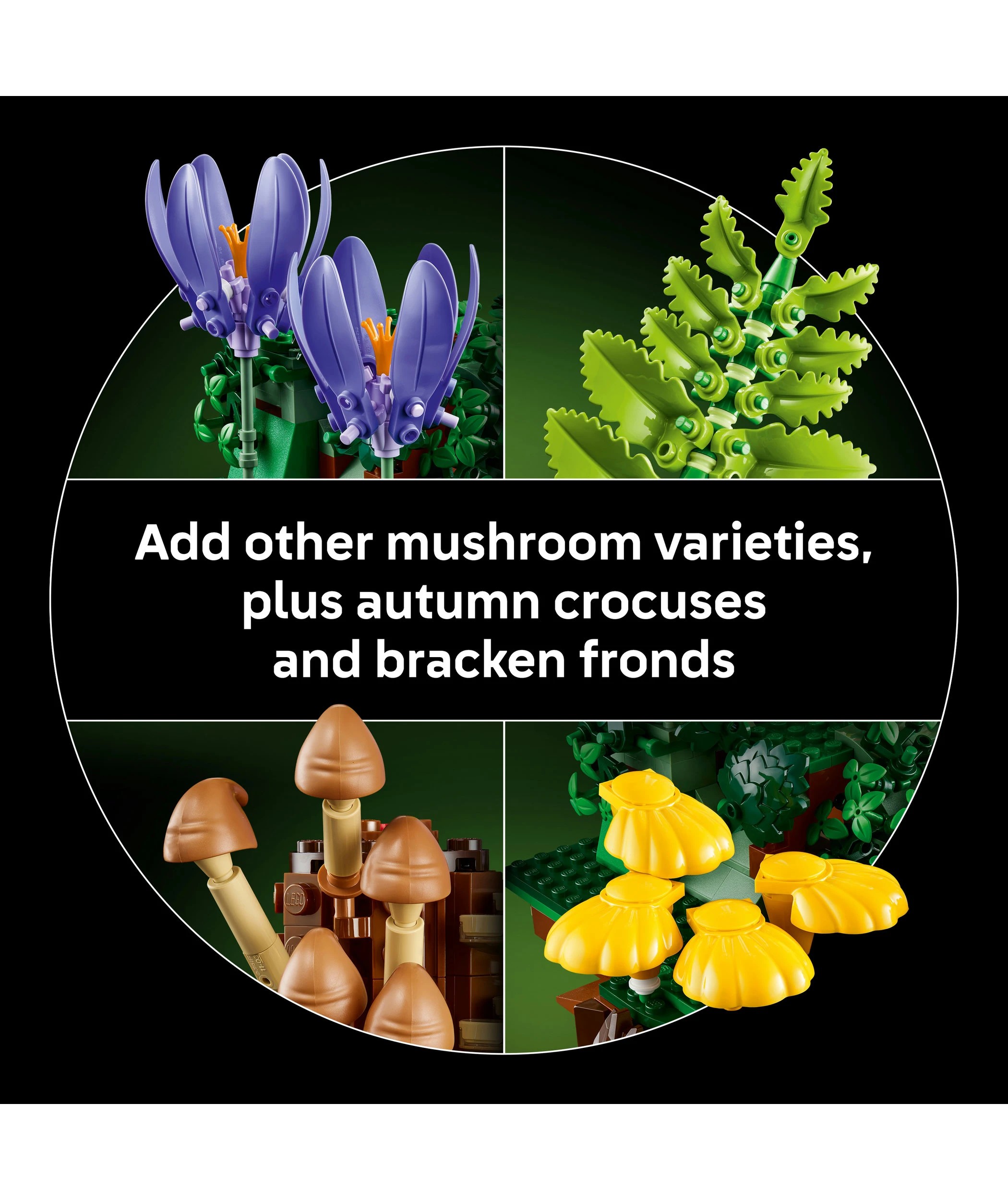 6 LEGO Botanicals Woodland Mushrooms 11505, 6 of 9