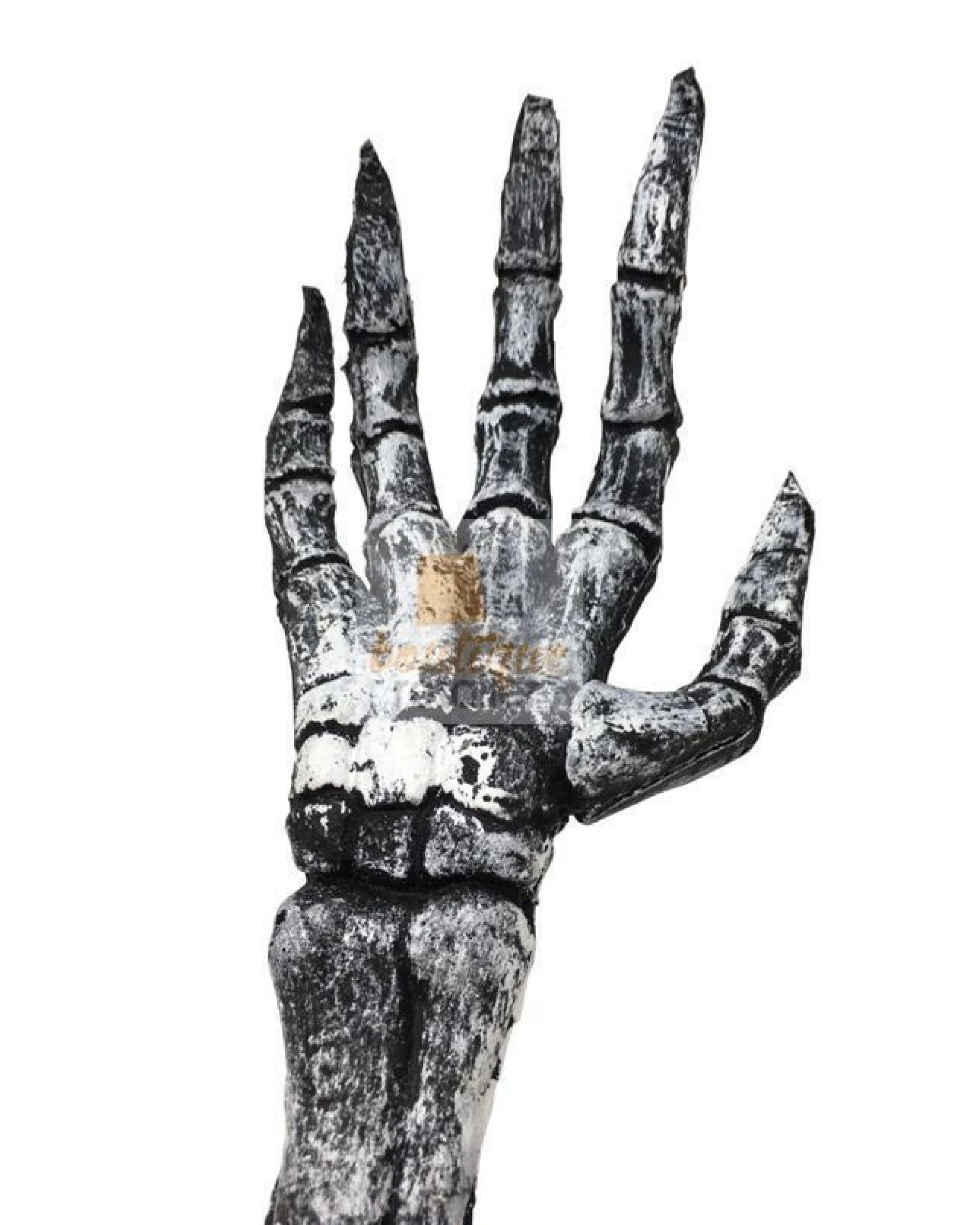 2 BR Costumes Halloween Skeleton Hand Prop with Claw Design, 2 of 4
