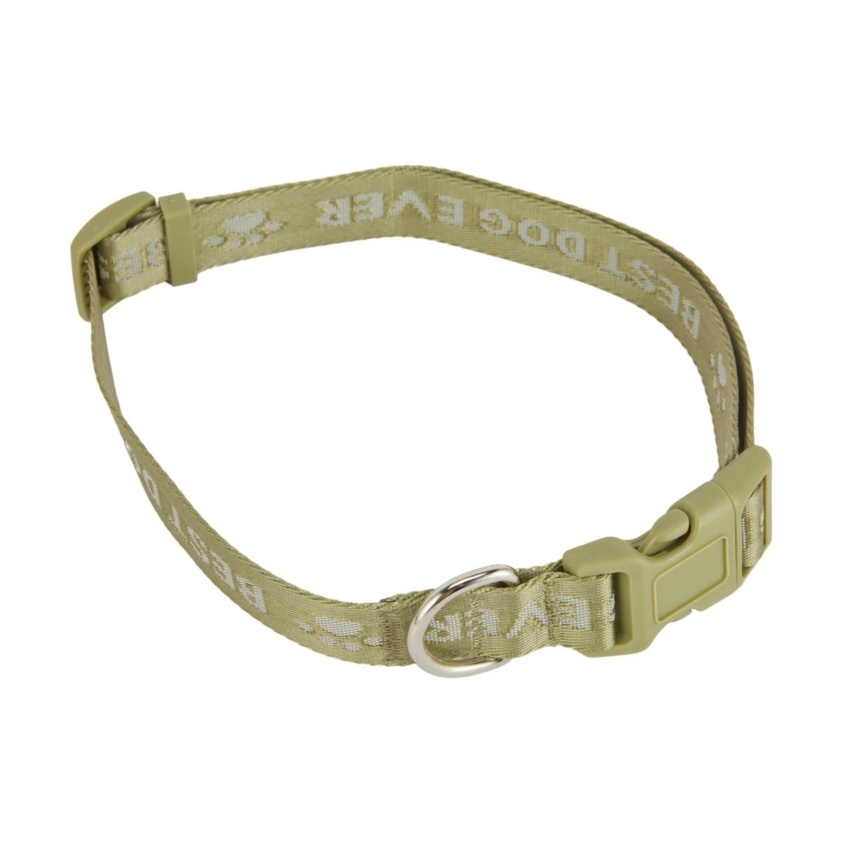 4 Best Dog Ever Collar and Lead Set - Large, Green, 4 of 5