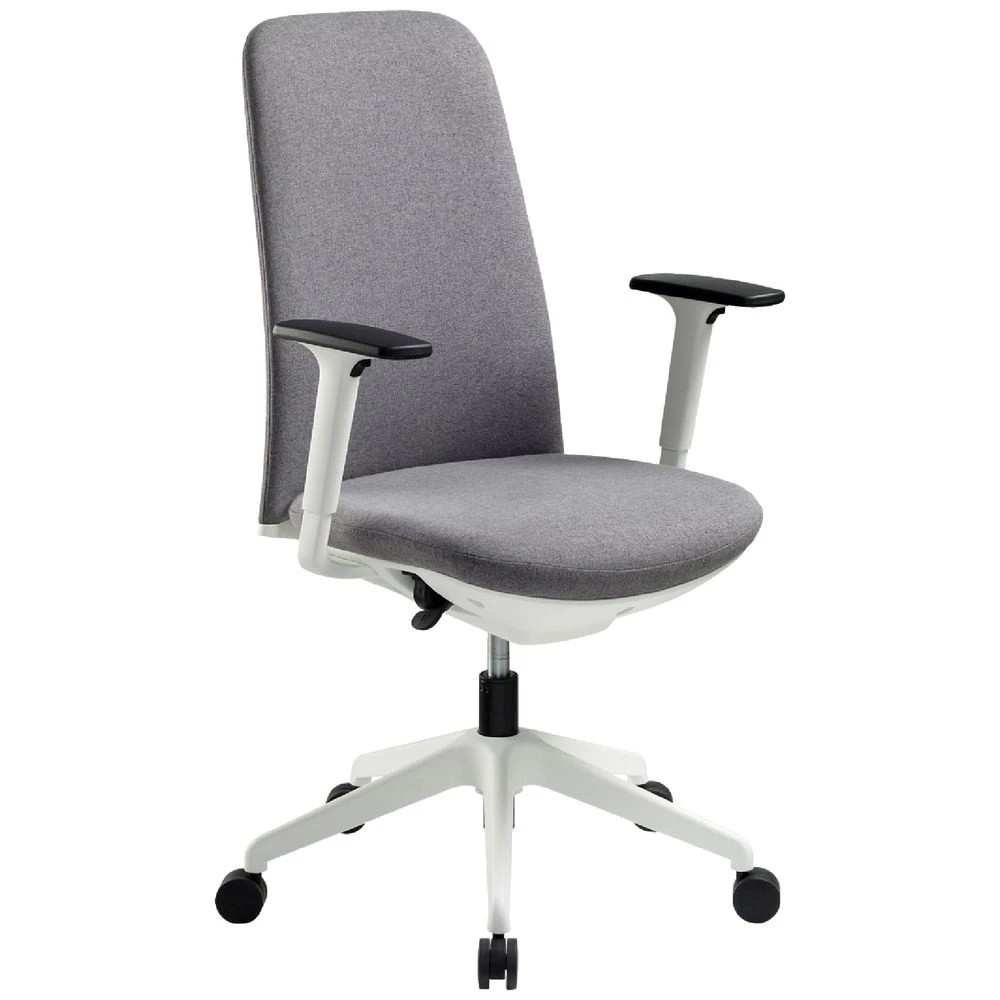 1 Pago Nest Home Office Ergonomic High Back Chair Grey Ergonomic Chairs and Desk Chairs, 1 of 7
