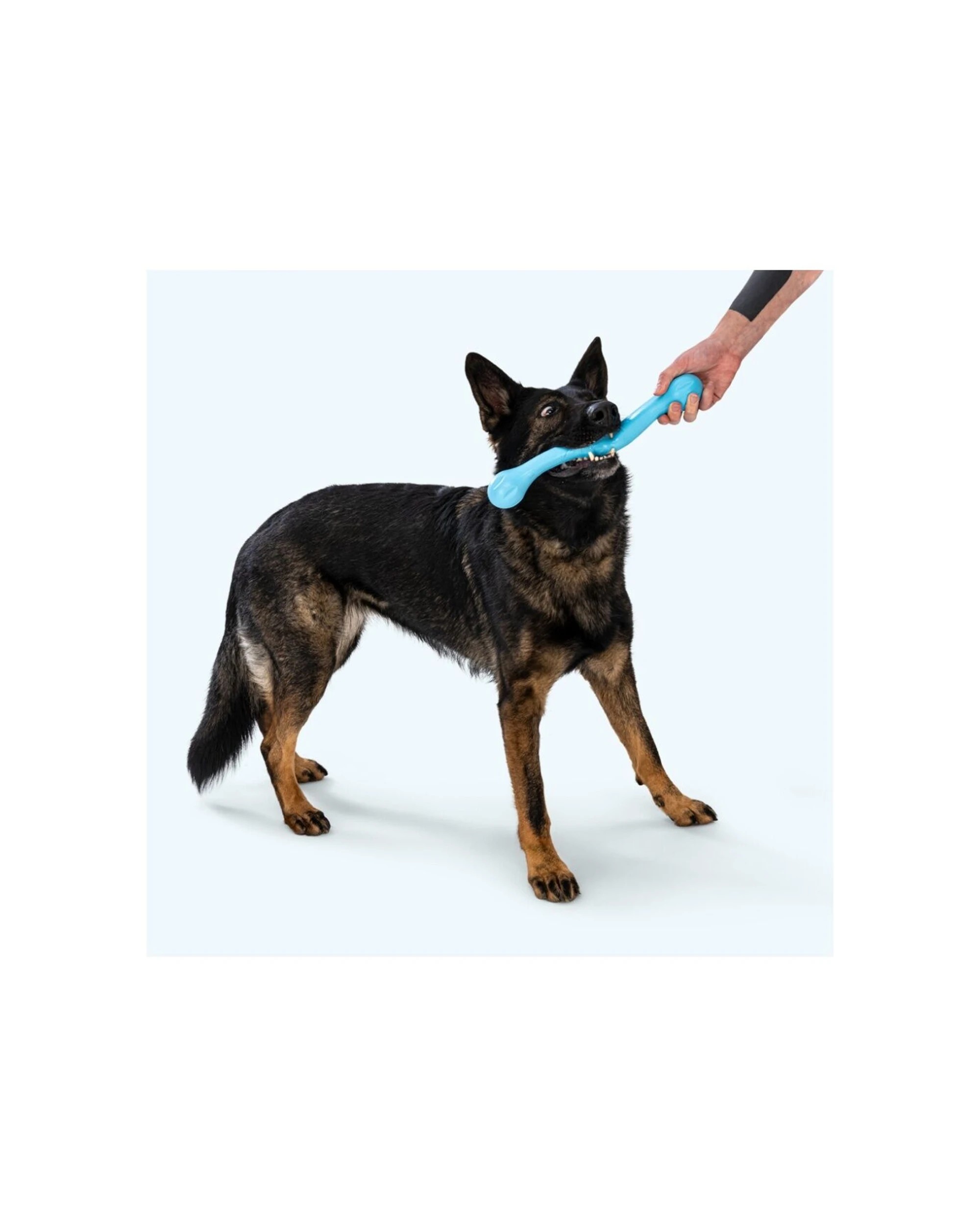 2 West Paw Zwig Pet Dog Fetch Throwing Soft Chew Toy Floatable Non-Toxic Zogoflex - Blue, 2 of 4