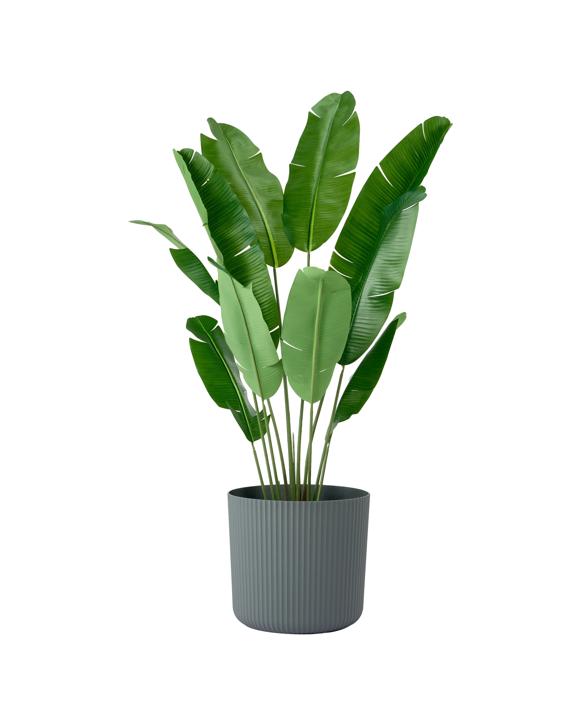 43cm Linear Plastic Pot - Dark Grey