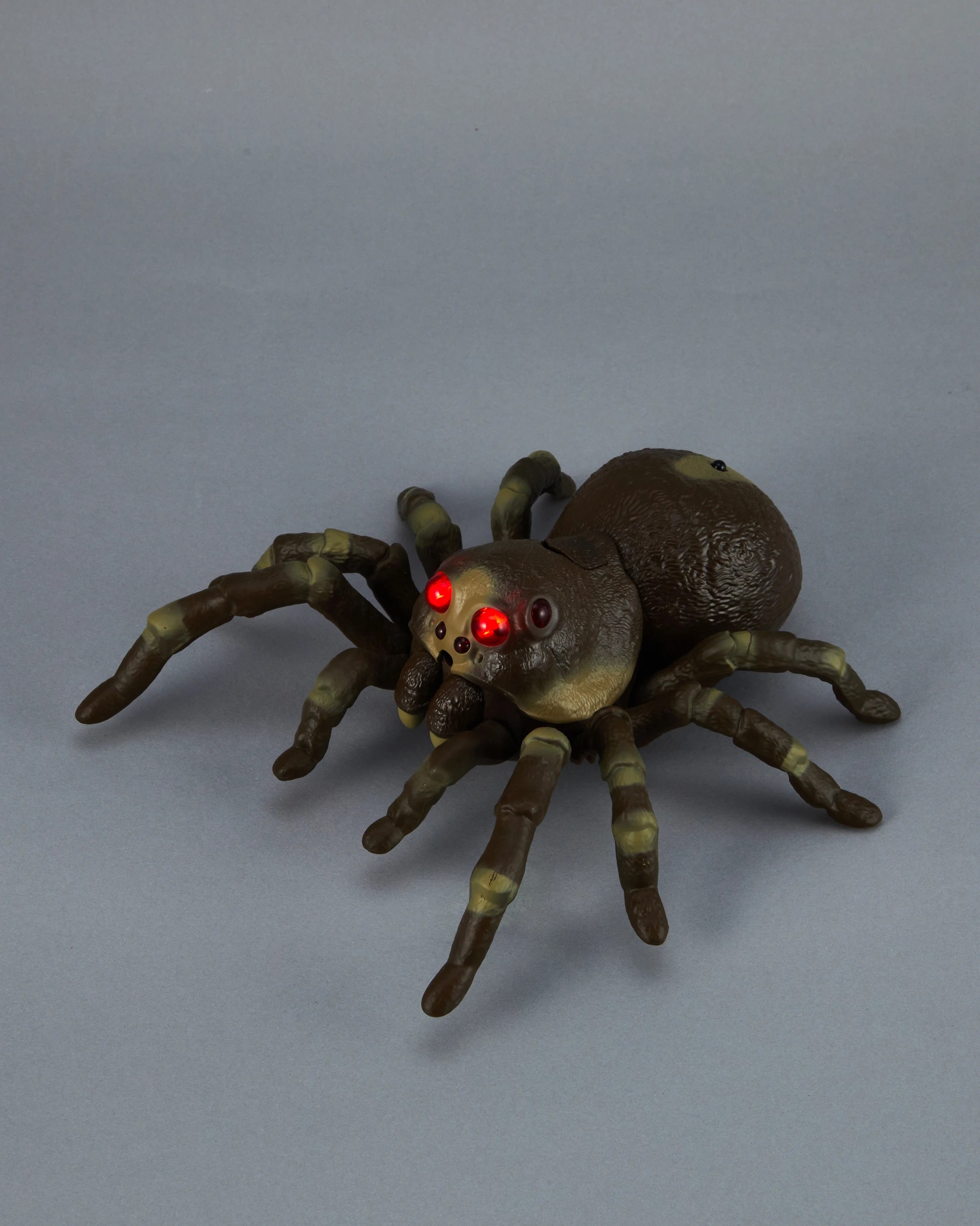 8 Remote Control Spider, 8 of 9