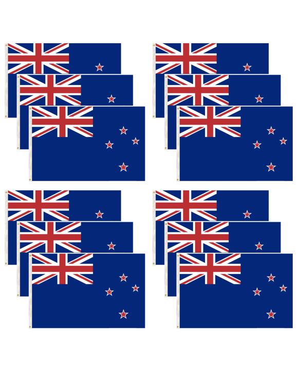 BR Costumes New Zealand Country Flag Kiwi Outdoor 12 Pack