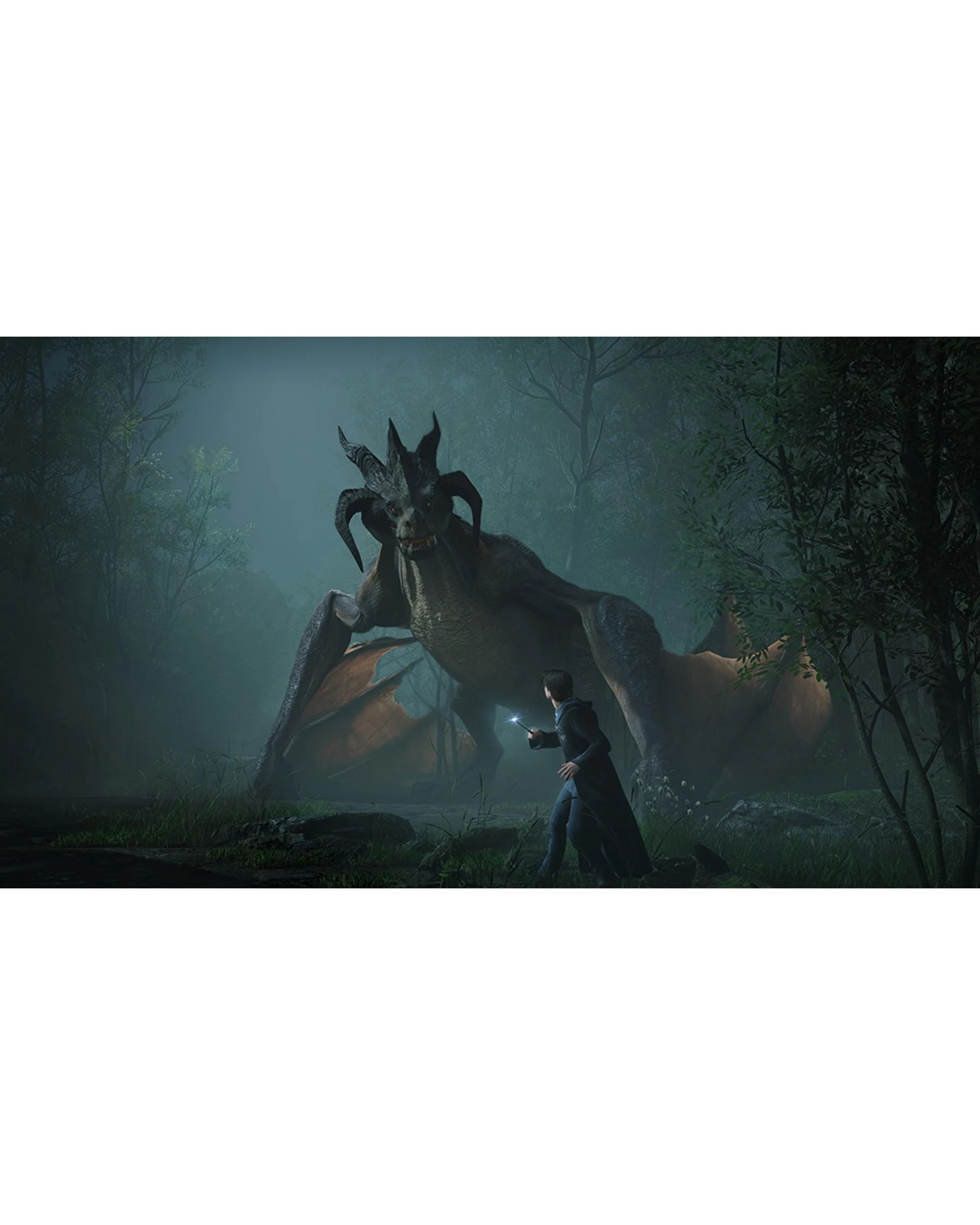 2 Hogwarts Legacy - PS5, 2 of 6