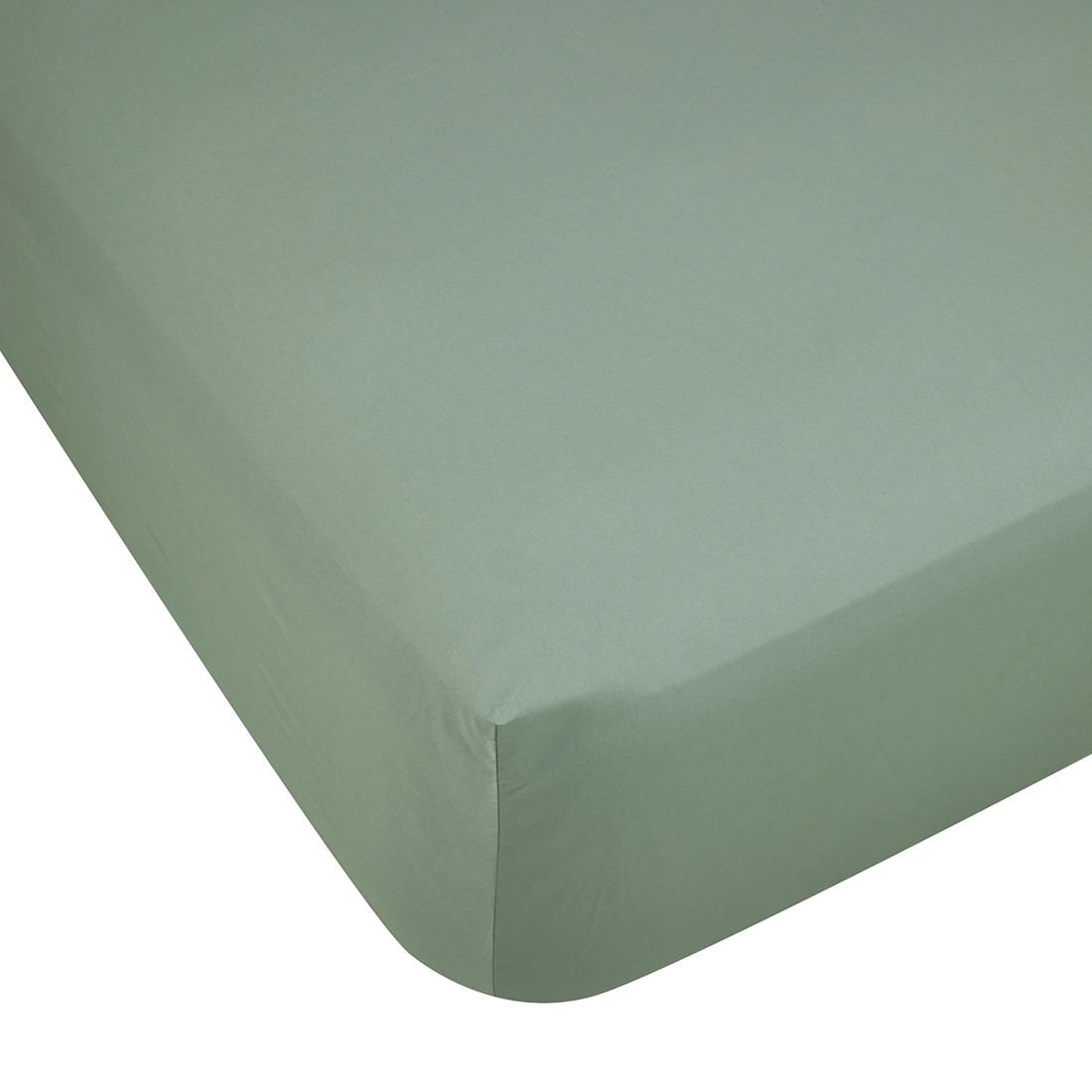 1 500 Thread Count Australian Grown Cotton Fitted Sheet - Queen Bed, Sage, 1 of 4