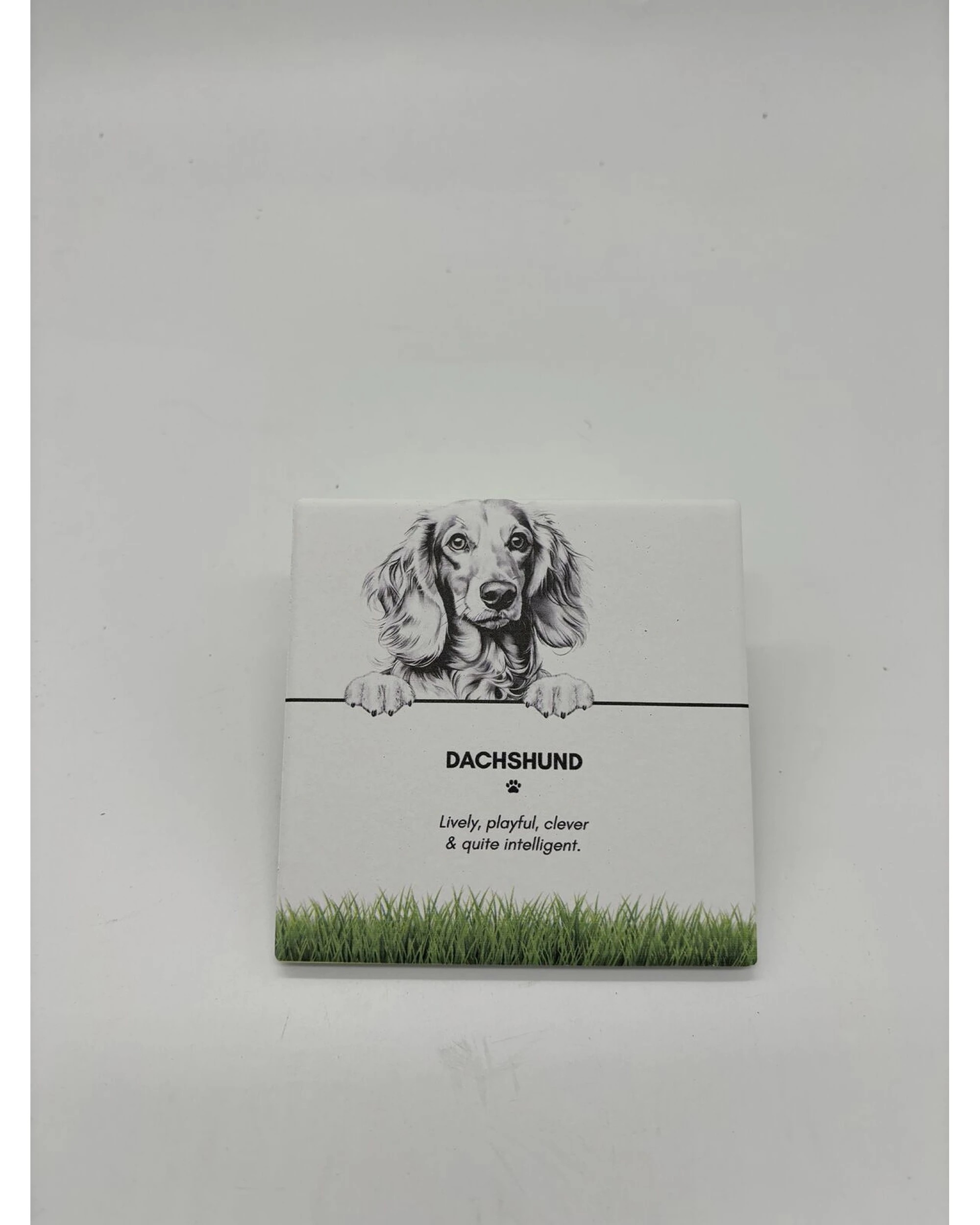 2 Bramble Bay 6PK Pet Kitchen Coaster Dachshund Dog Lover Set - Multi, 2 of 2