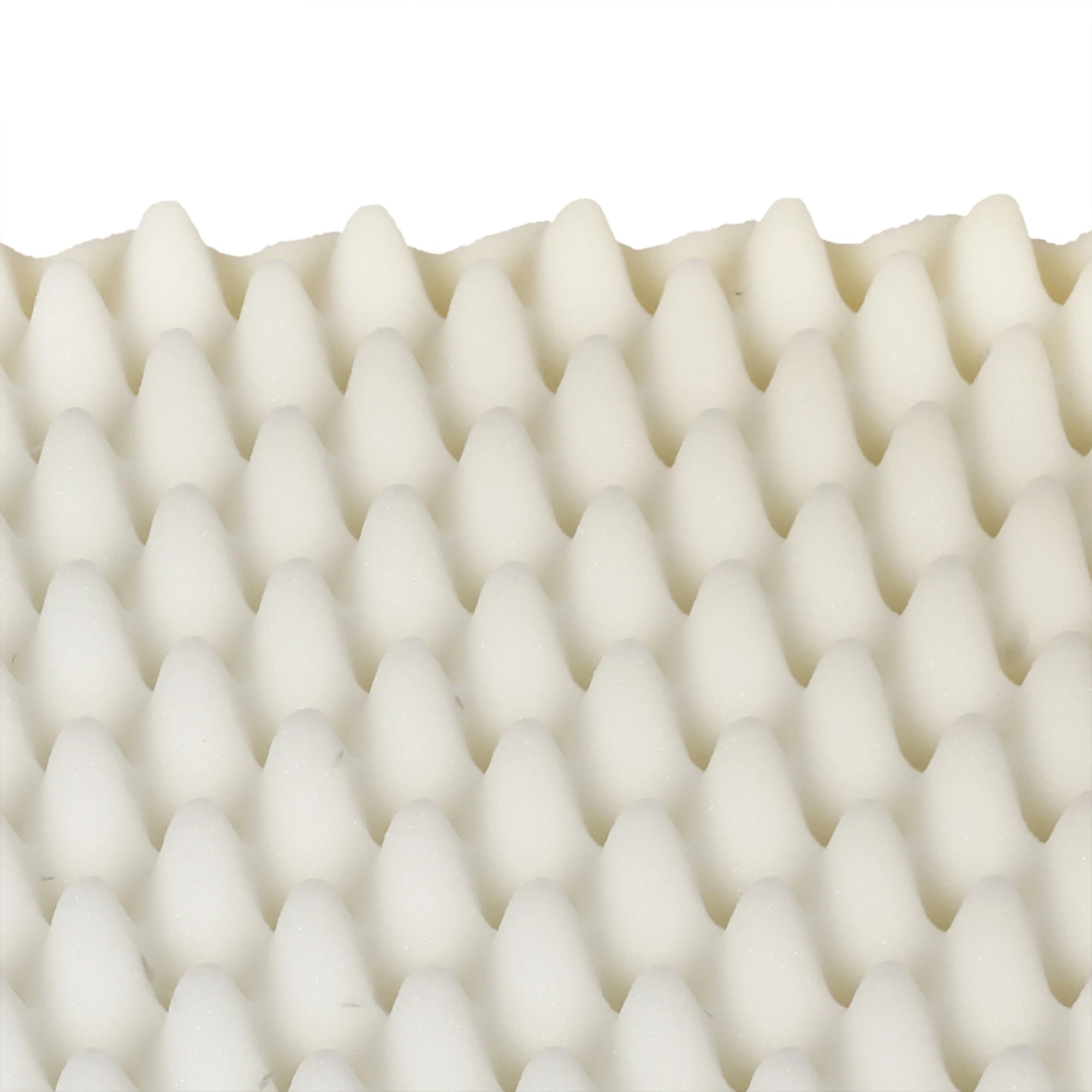 6 Pawz Memory Foam Pet Cushion Xxl, 6 of 6