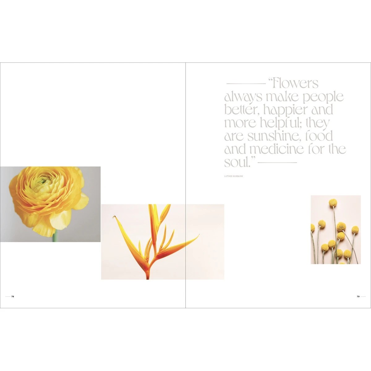 4 Flower - Book, 4 of 6