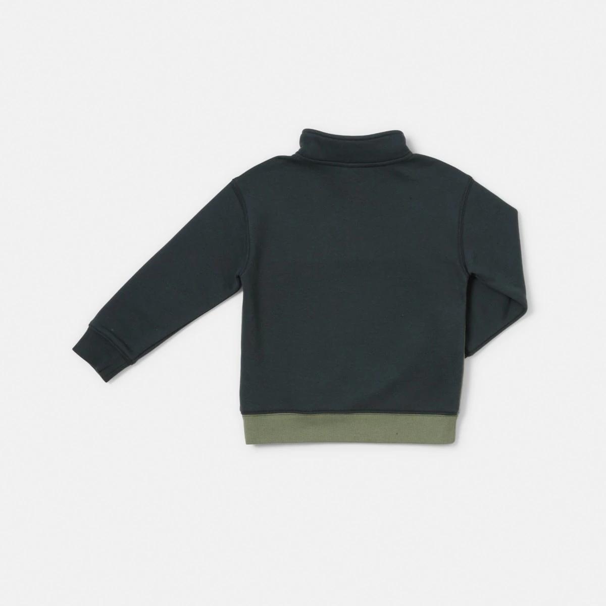 10 Quarter Zip Sweatshirt Wood Grey, 10 of 10