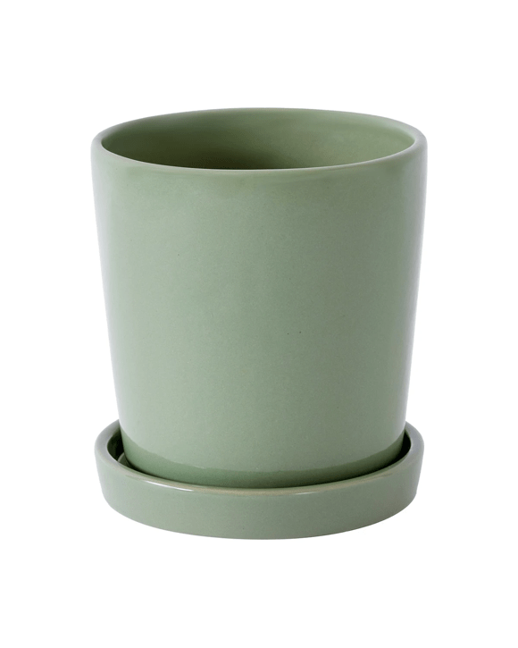 Pot with Saucer - Green