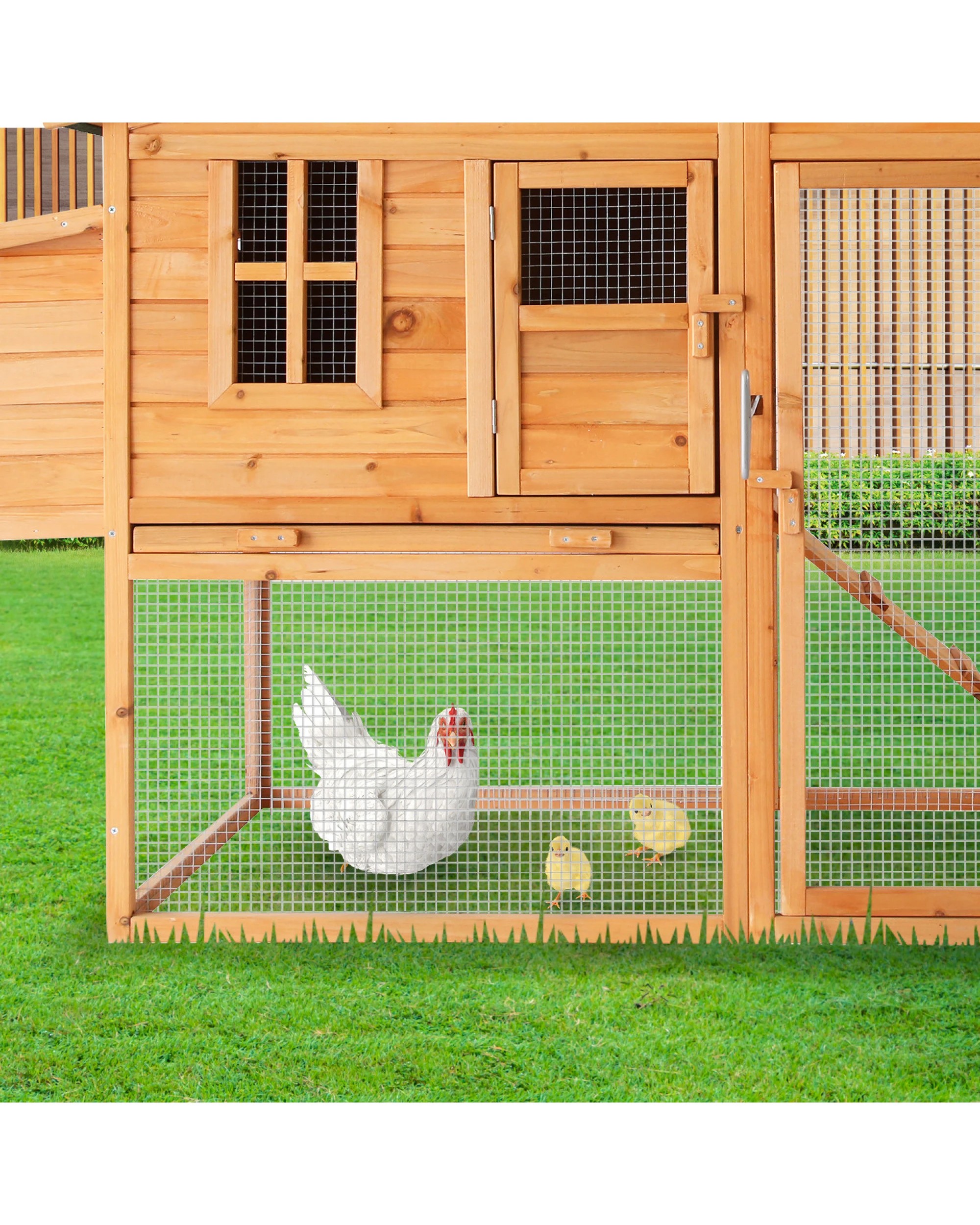 6 Furtastic Large Chicken Coop and Rabbit Hutch With Ramp - Brown, 6 of 8