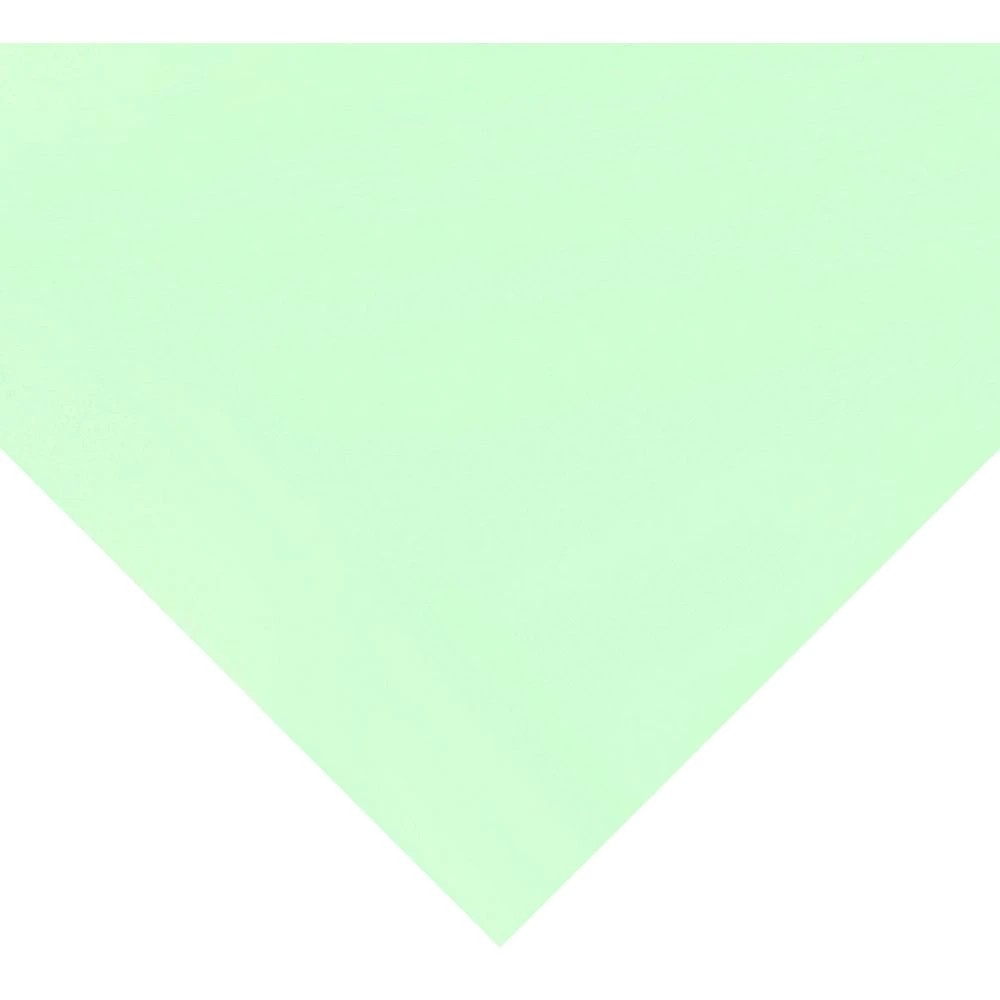 1 Quill 510 x 635 mm Board 210gsm Pastel Green, 1 of 2