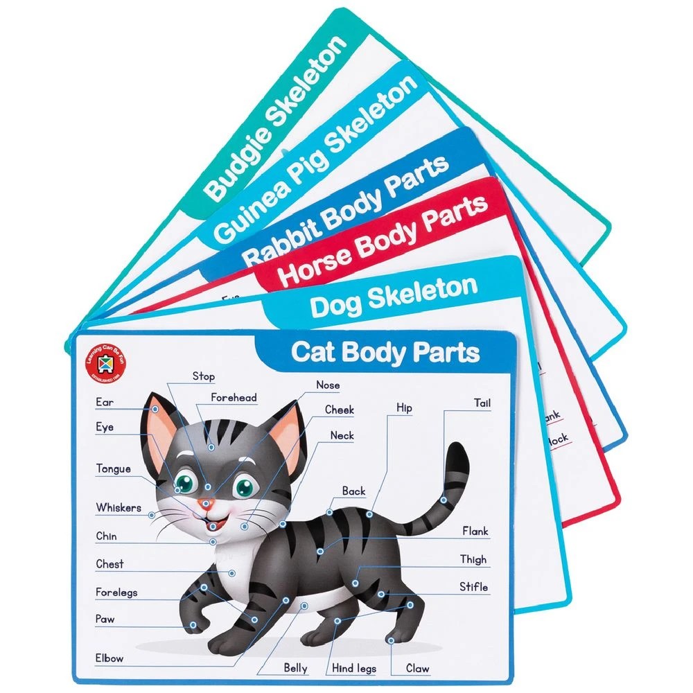 8 LCBF My Vet Clinic Pretend Play Set, 8 of 8