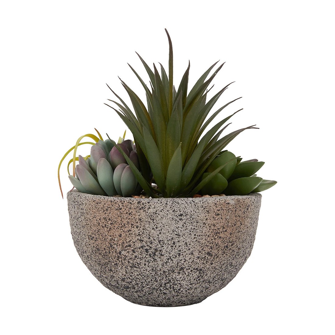 5 Artificial Succulents in Pot, 5 of 6