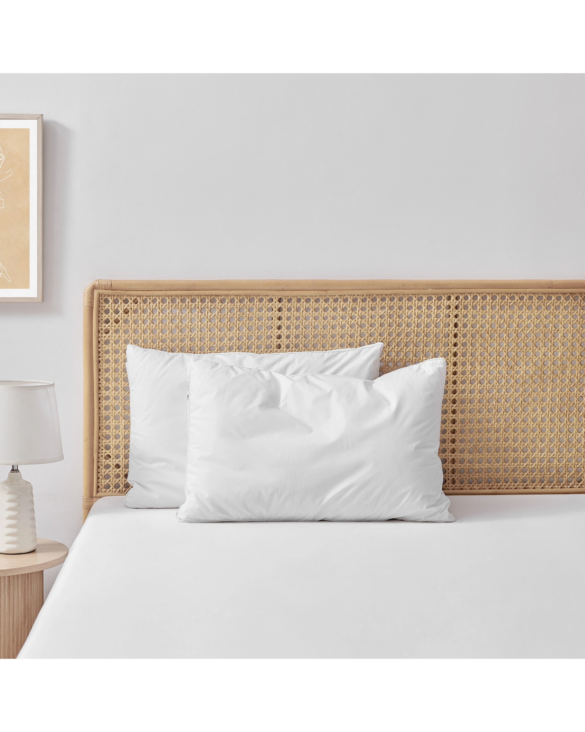 1 ESSN Healthguard Allergy Sensitive Pillow Low Profile Twin Pack - White, 1 of 7